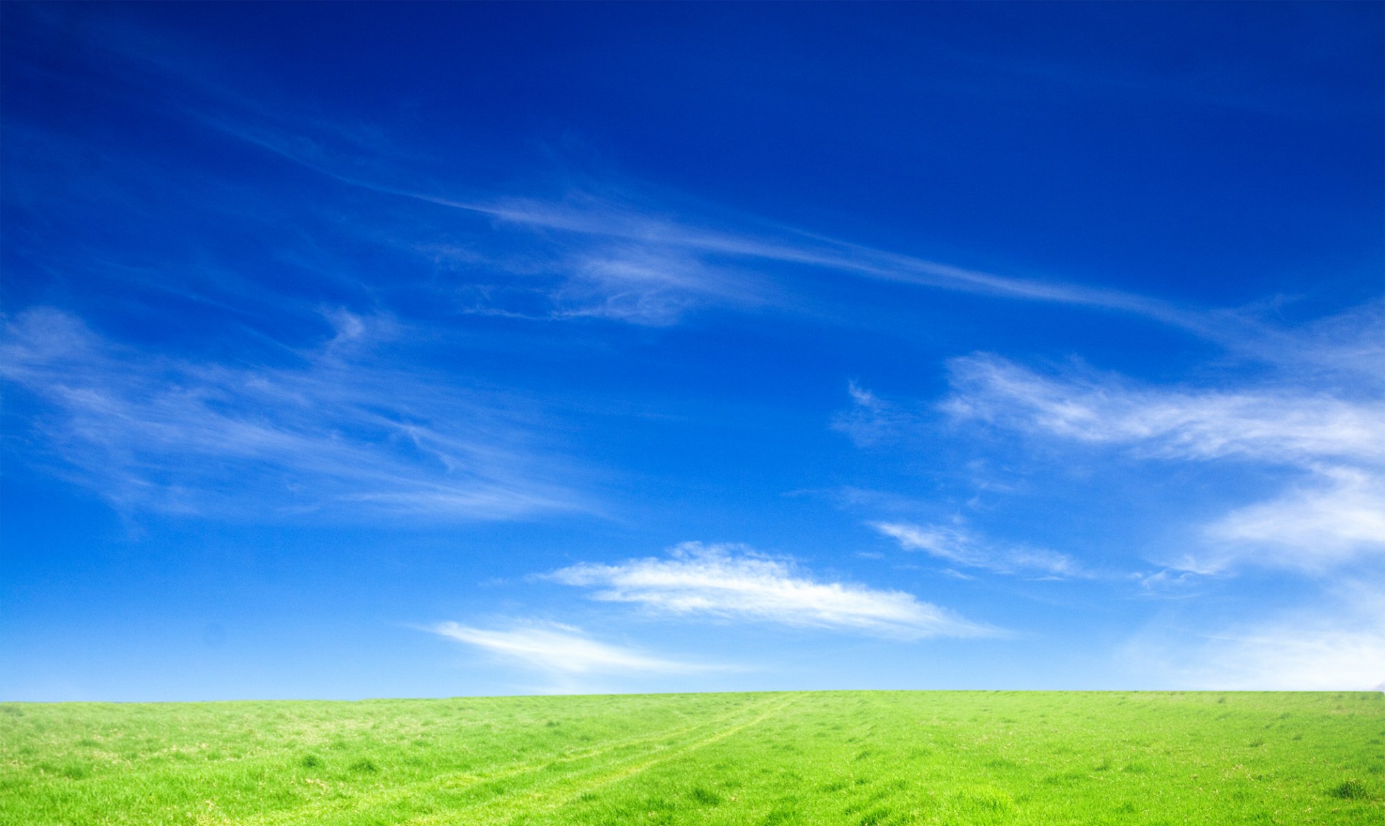 paesaggio natura cielo campo erba