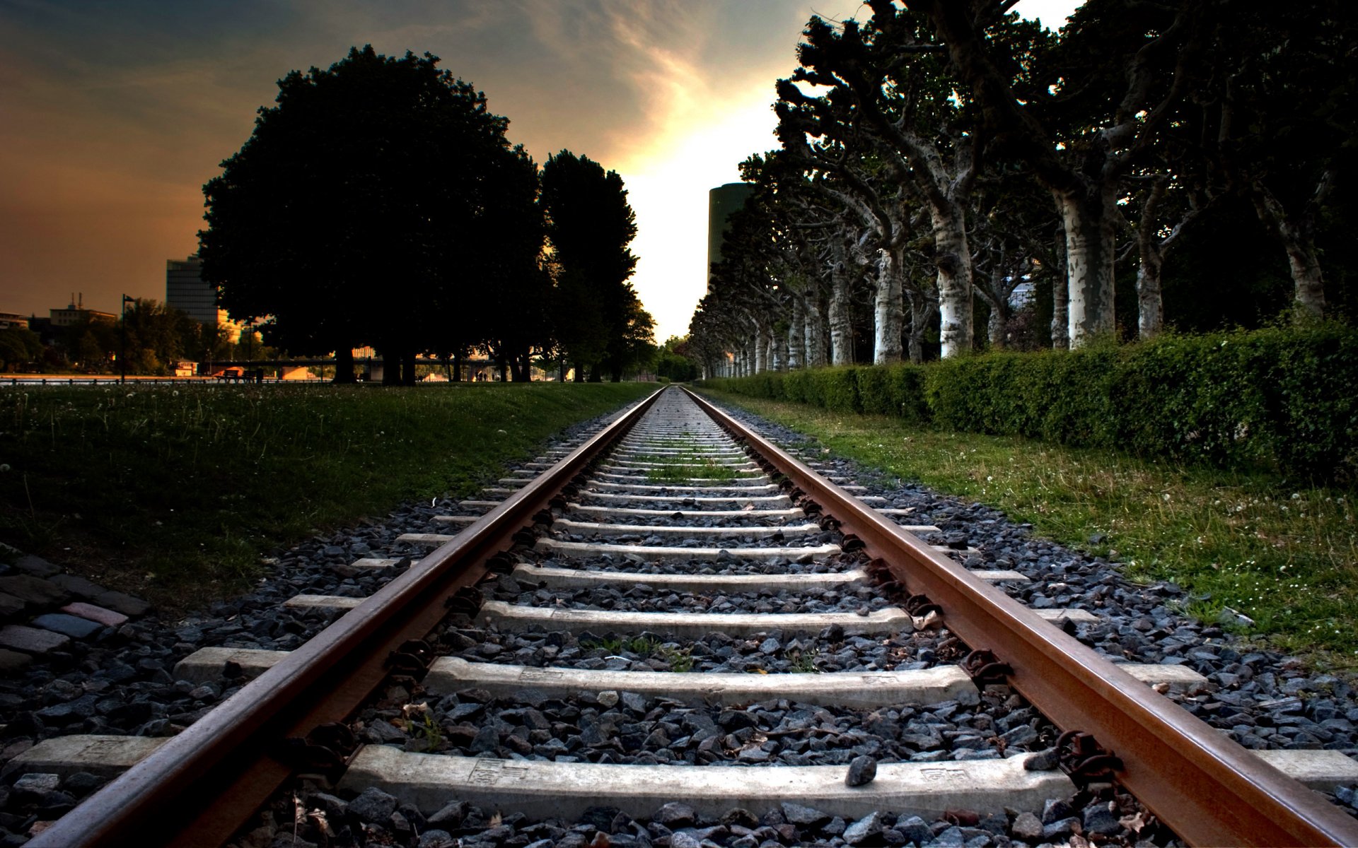 ferrocarril camino rieles árboles ciudad cielo