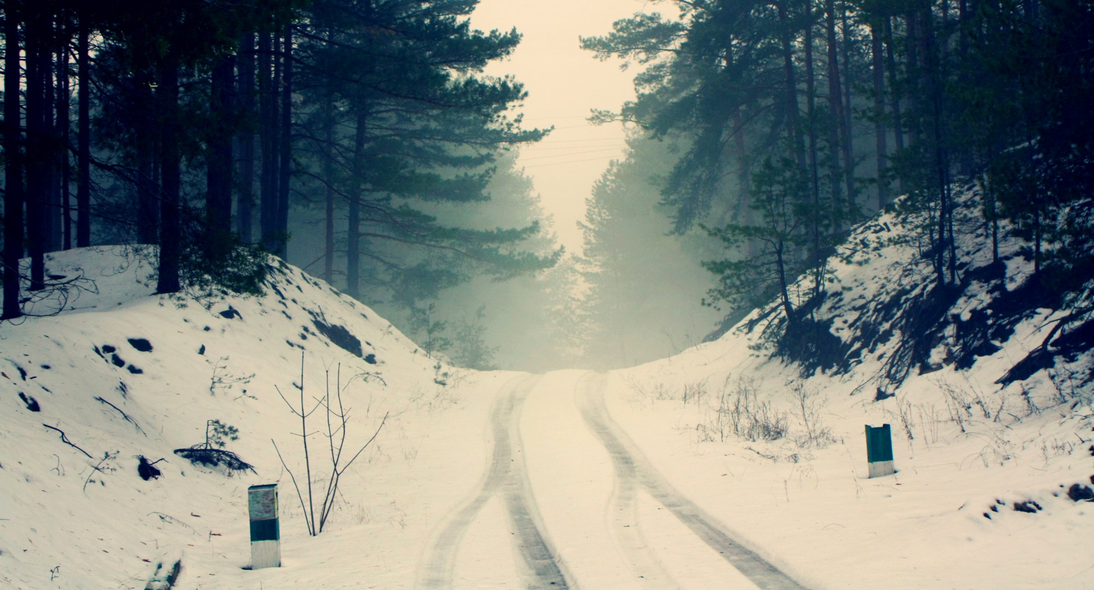 naturaleza invierno carretera huellas de ruedas bosque árboles pinos ramas siluetas niebla neblina frío escarcha nieve silencio