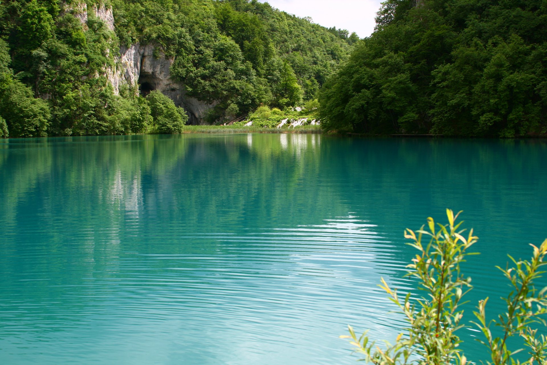 see natur landschaft wasser grün