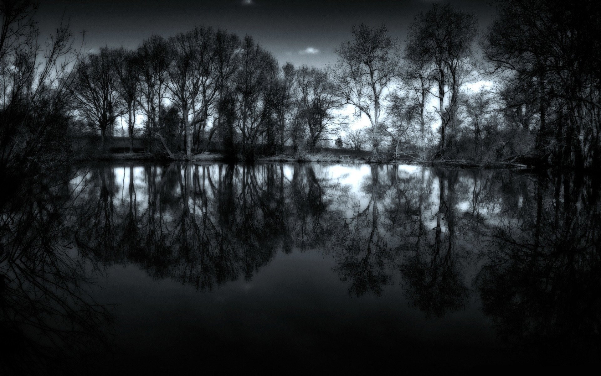 night landscape tree water photo