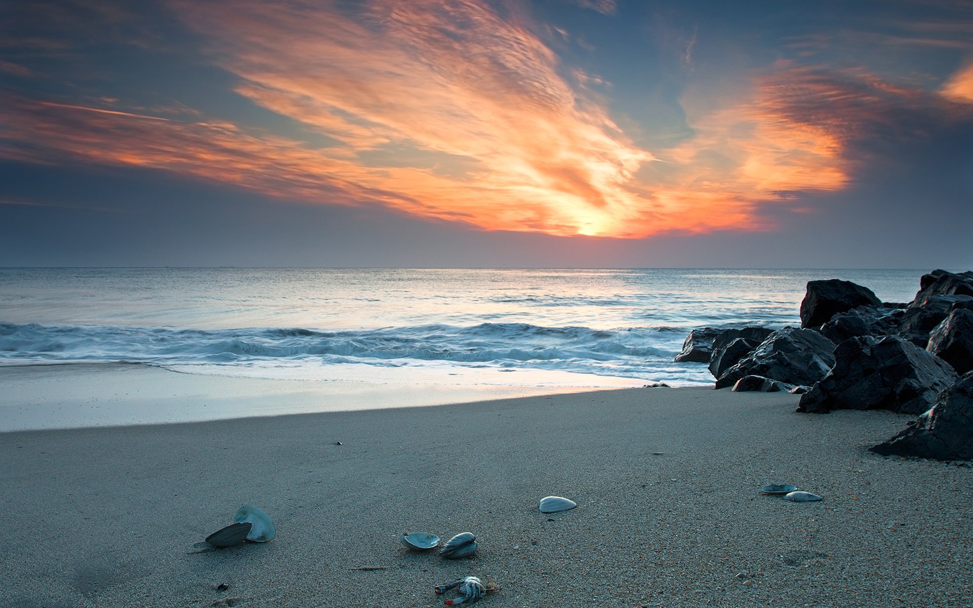 schönheit sand strände küste küste muschel muscheln muscheln muscheln muscheln krabben stein steine sonnenuntergänge himmel himmel wasser meer ozean