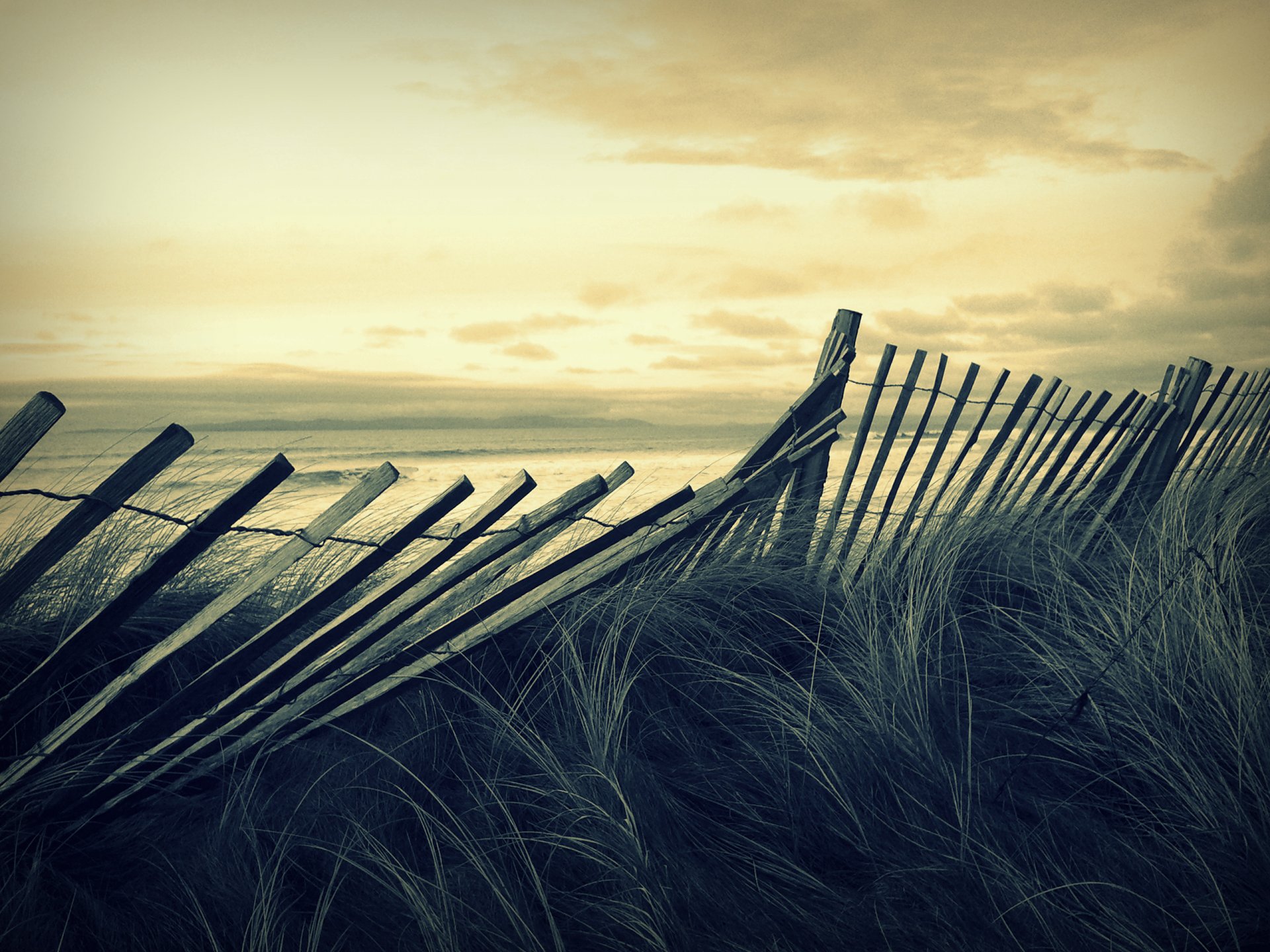 herbe plage vent mer vagues ciel humeur tempête clôture clôture paysage