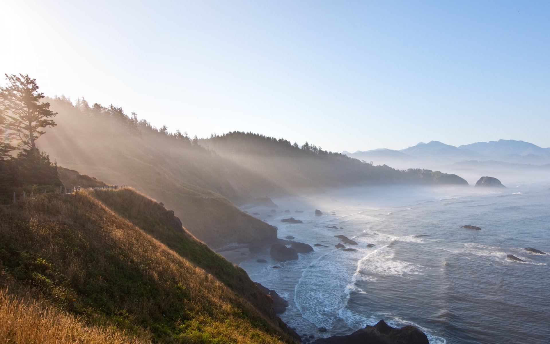 paysages belles brumes brume avec la nature nature ciel matin aube montagnes soleil lumière rayon rayons arbre arbres plantes plante herbe eau mer océan vagues mousse côte côte pierre pierres roche roches vue oregon oregon