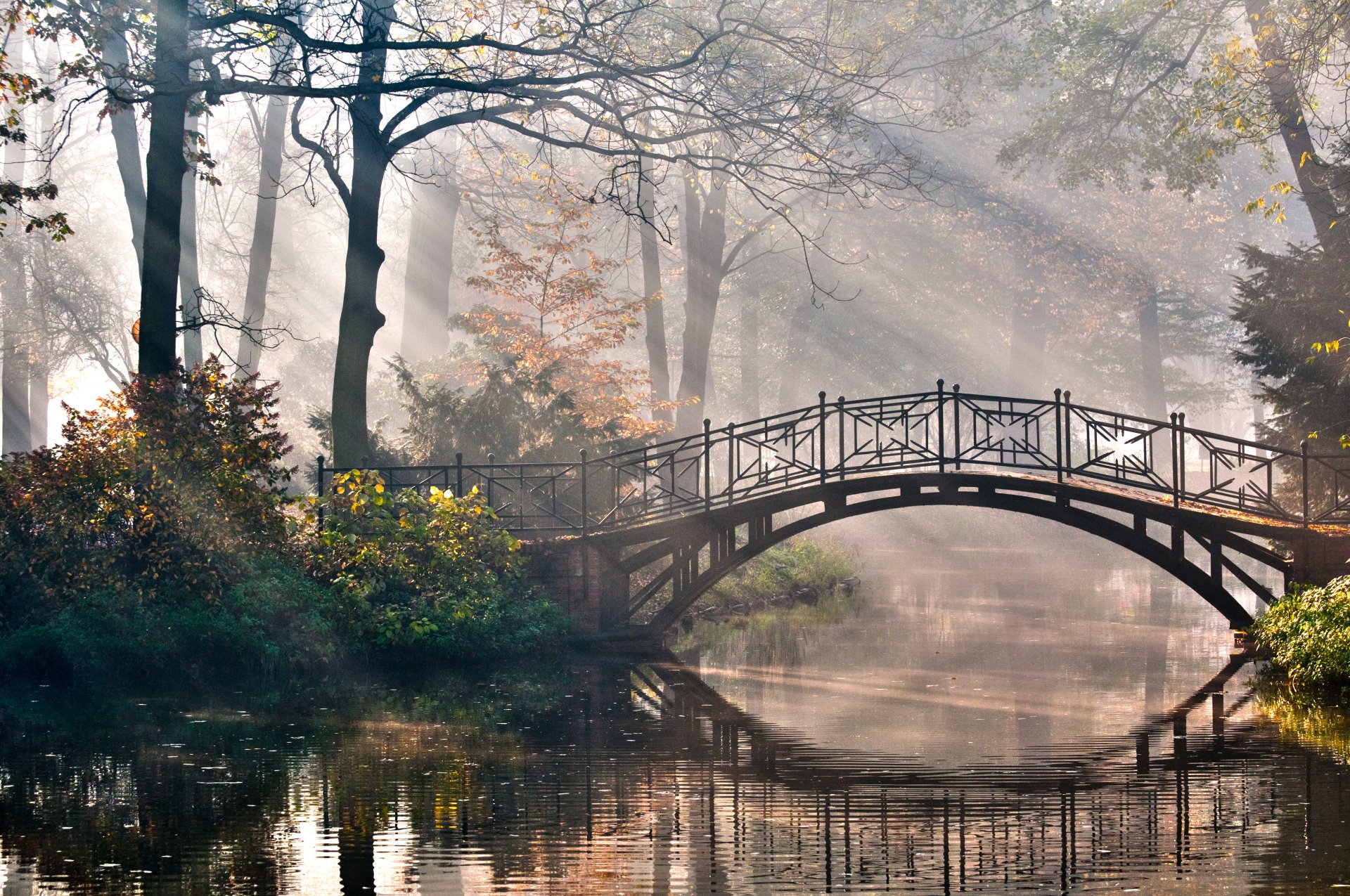 naturaleza parque árboles arbustos río puente rayos romance