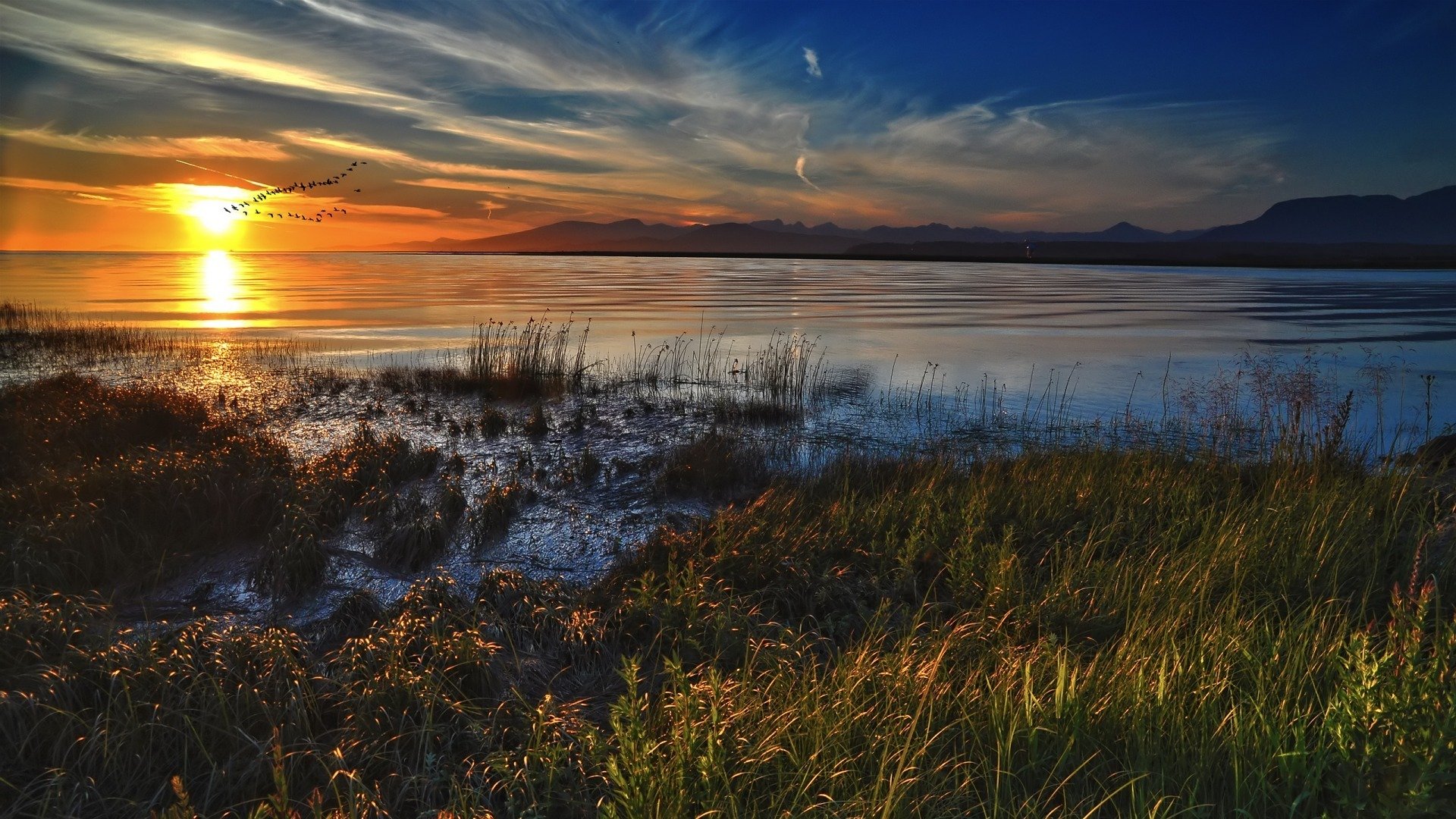 coucher de soleil oiseaux eau