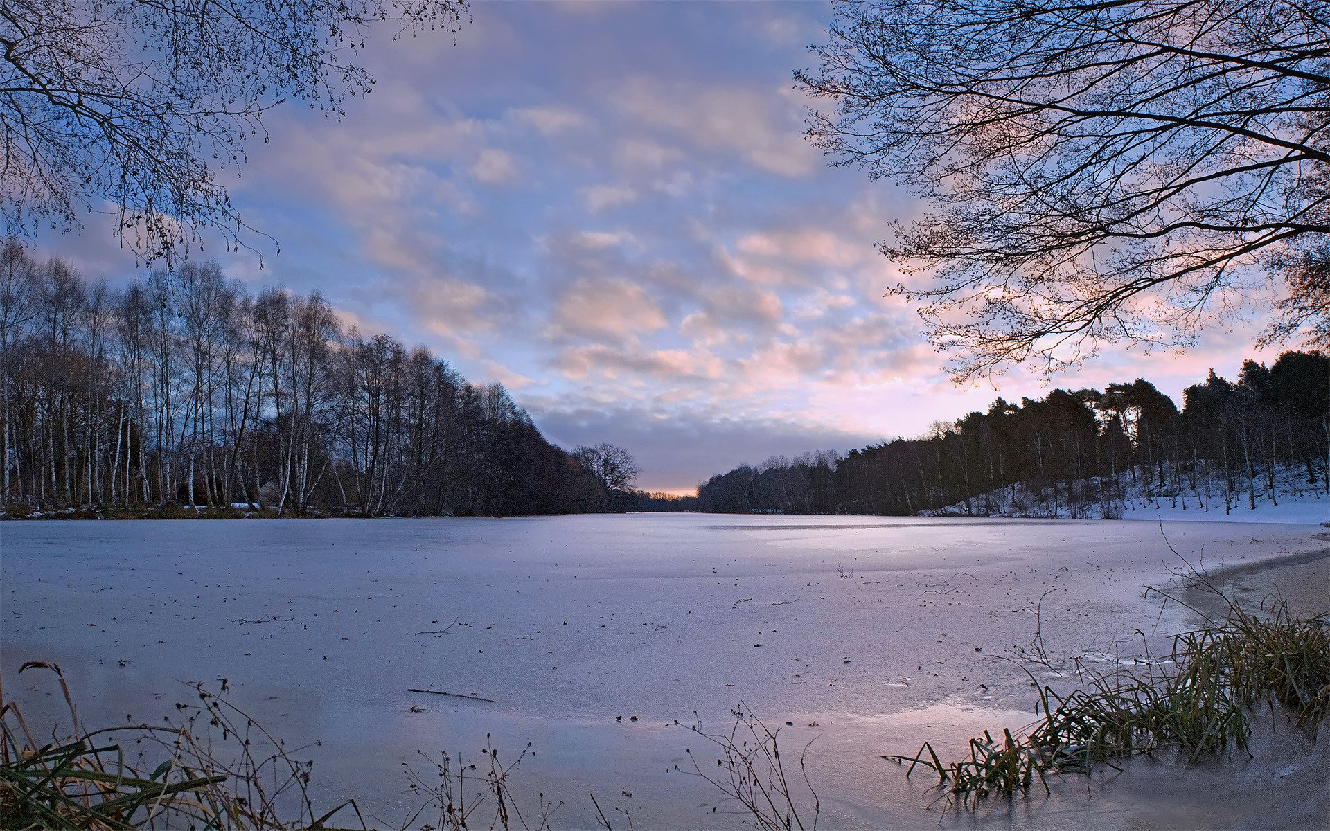 natur winter bäume fluss eis