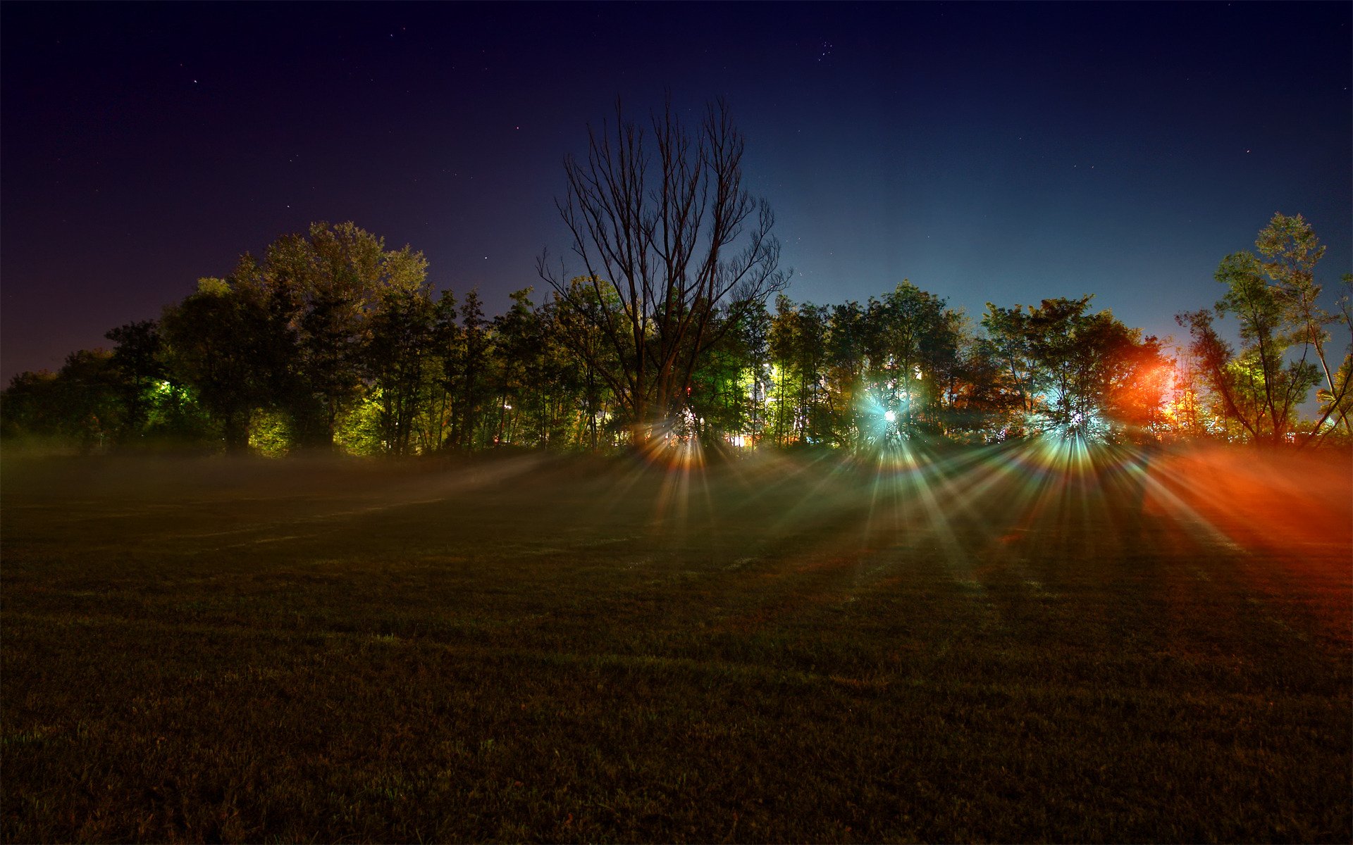 landscape night forest the field tree light rays lights photo