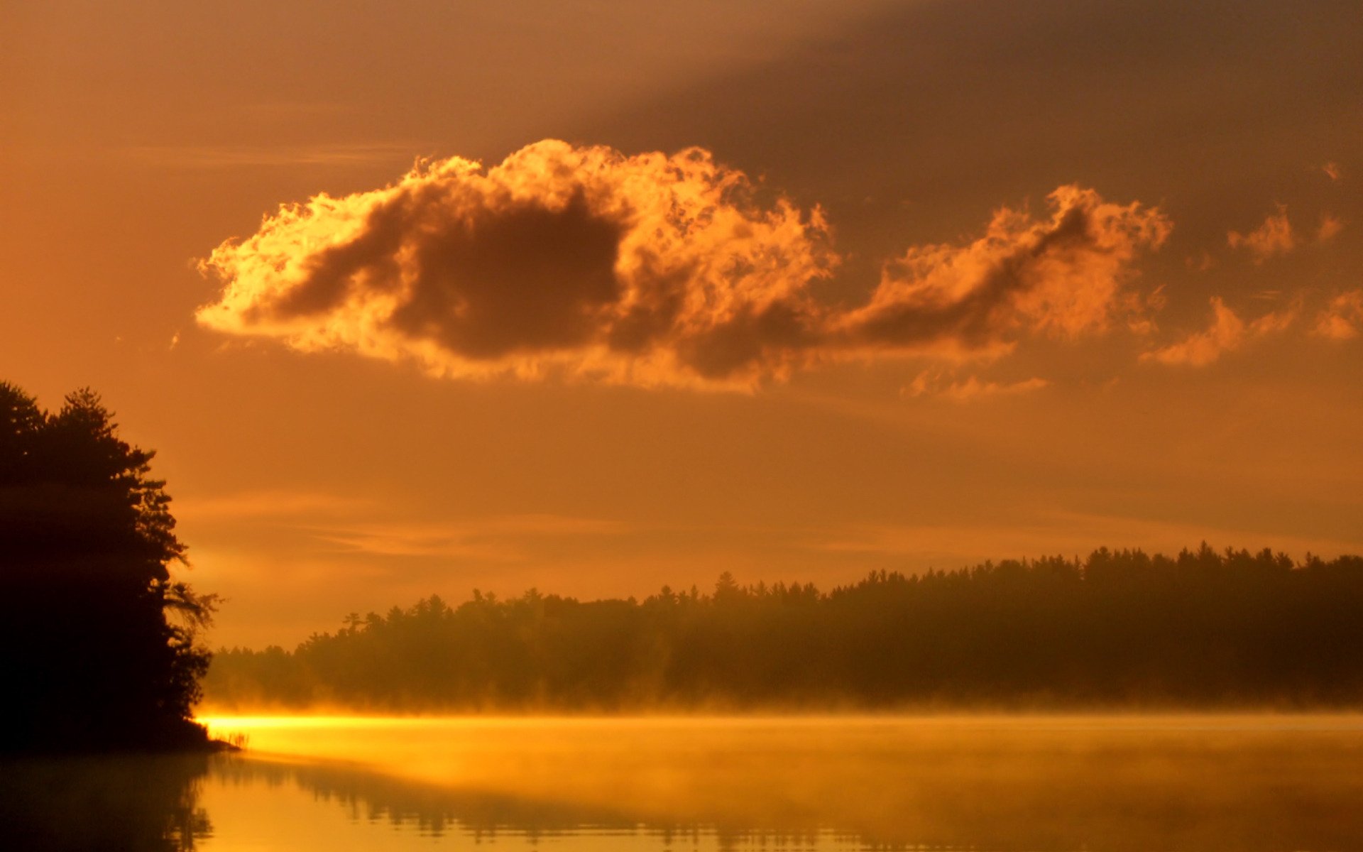 landschaften nebel wasser licht fluss see bäume