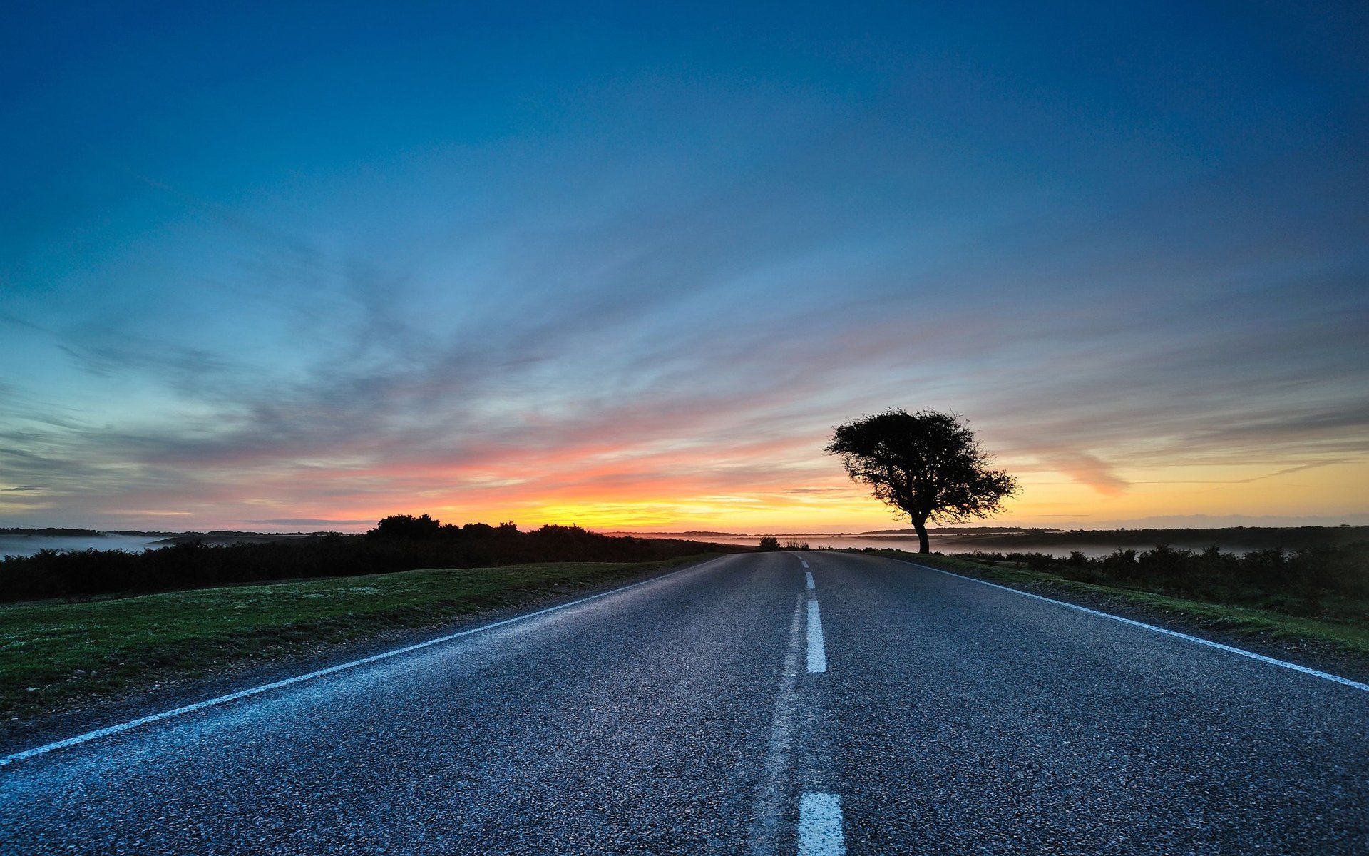 baum bäume straße straße abend himmel weg wege sonnenuntergänge