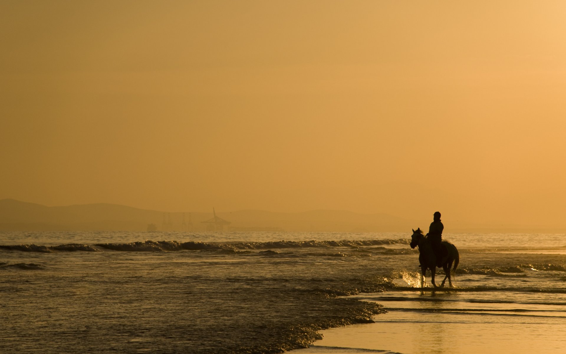 landscapes animals horse horse horses horses people man walking walking water shore sand ocean sea morning