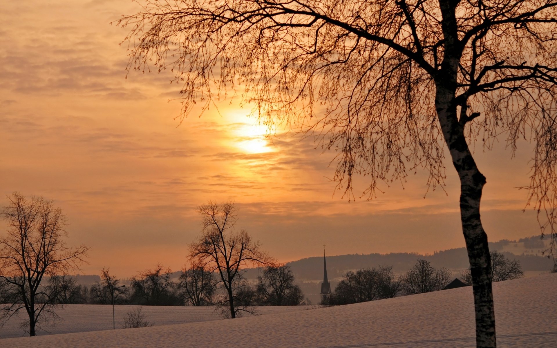 winter tree sunset