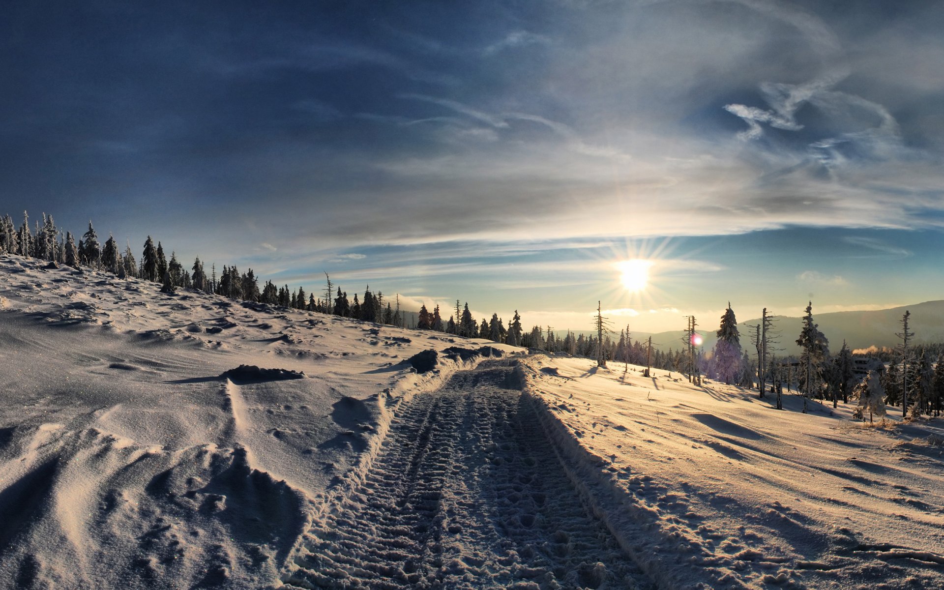 naturaleza paisaje invierno nieve escarcha derivas carretera pendiente árboles de navidad cielo sol foto imagen papel pintado