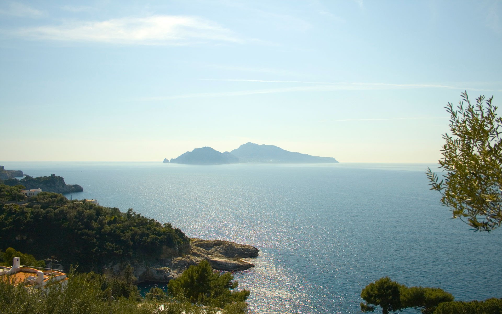 mer arbres île