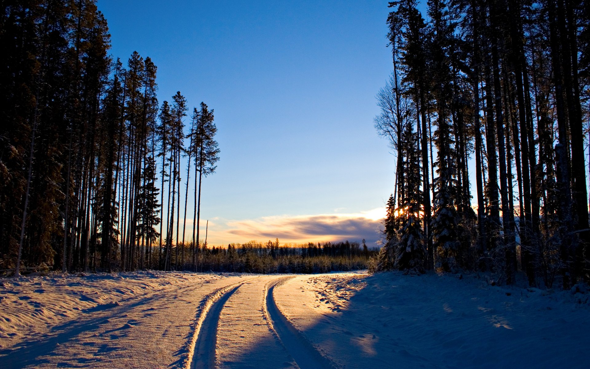 2560x1600 hd pared paisaje invierno amanecer nieve árboles bosque árbol carretera carretera huellas de luz canon eos 20d