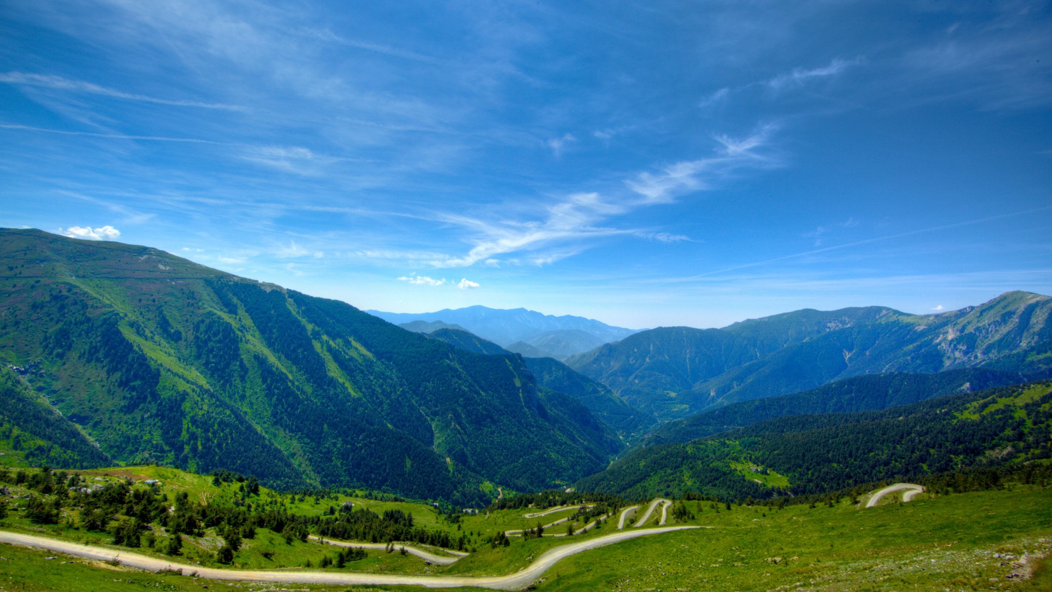 paesaggi natura foreste alberi erba luoghi vista