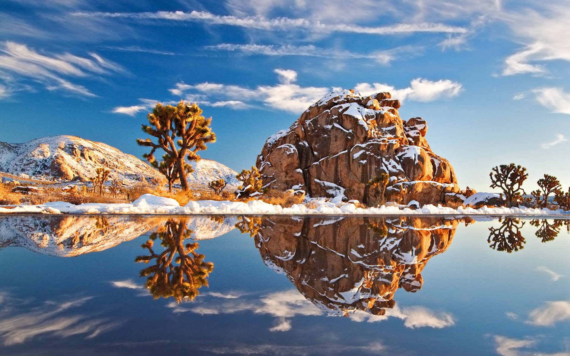 пейзажи природа америка камень камни вода снег дерево деревья зима