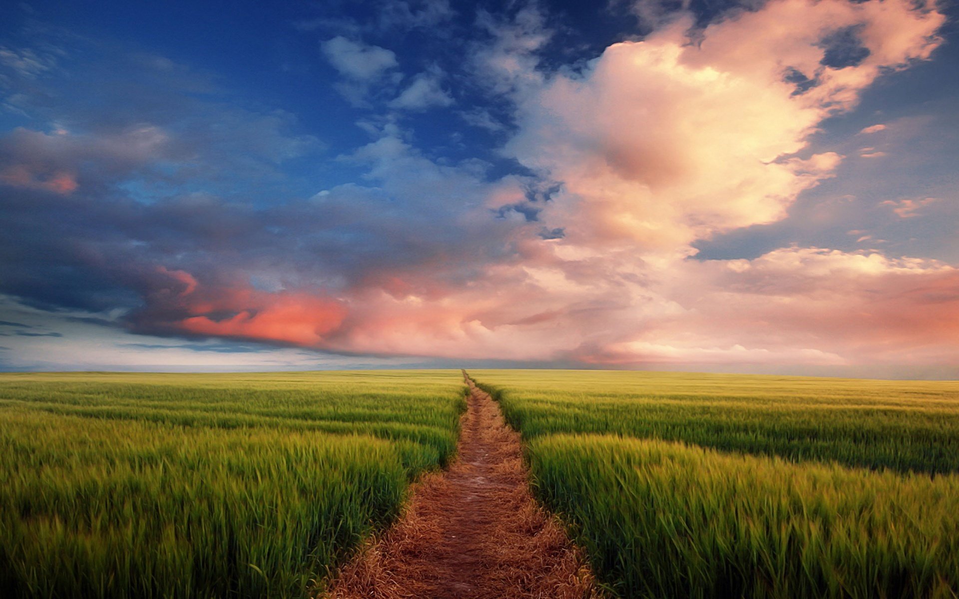 cielo campo sentiero