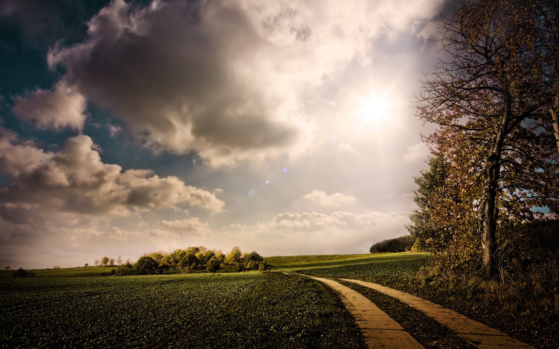 soleil nature route verdure nuages arbres ciel