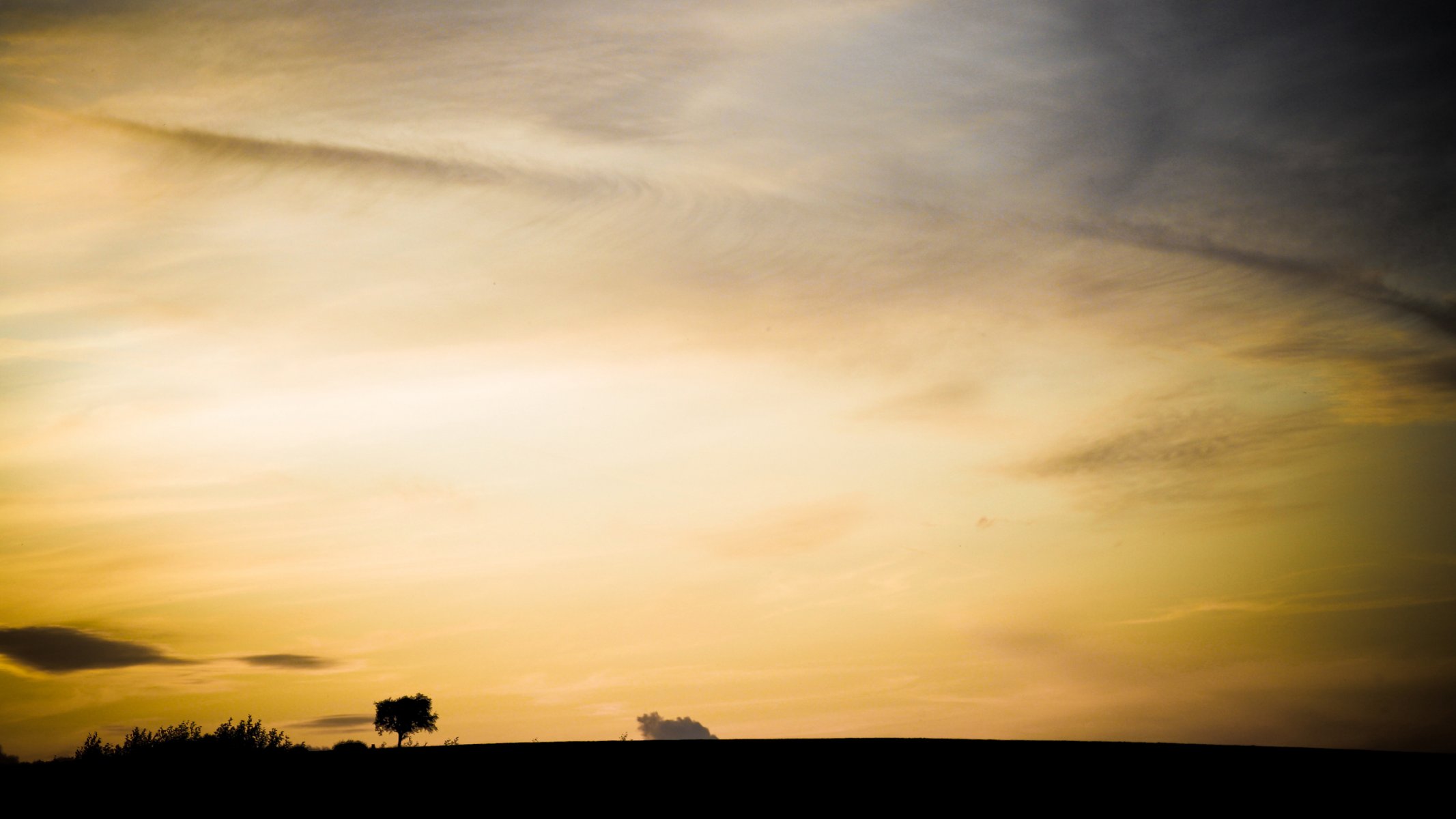 himmel gelb baum