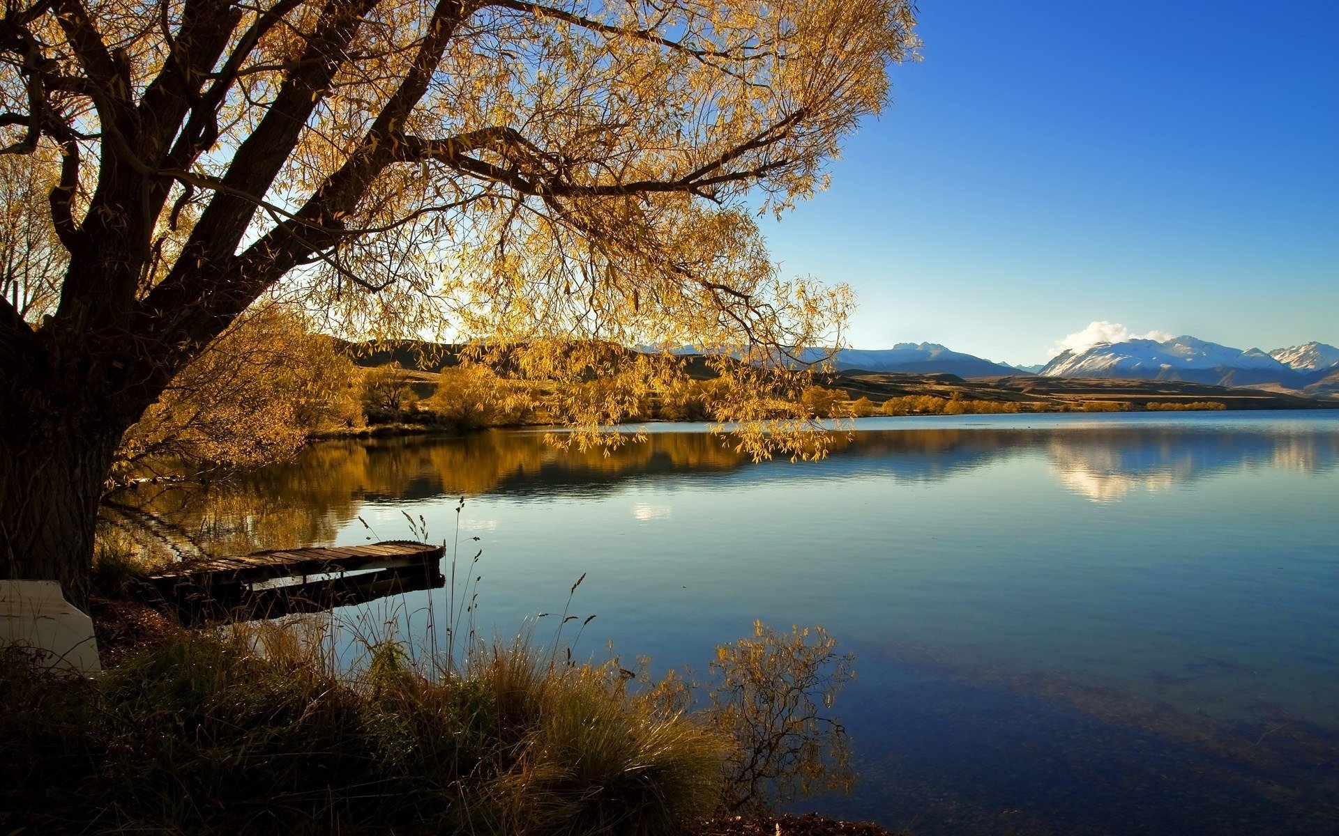 lac alexandrina nouvelle-zélande