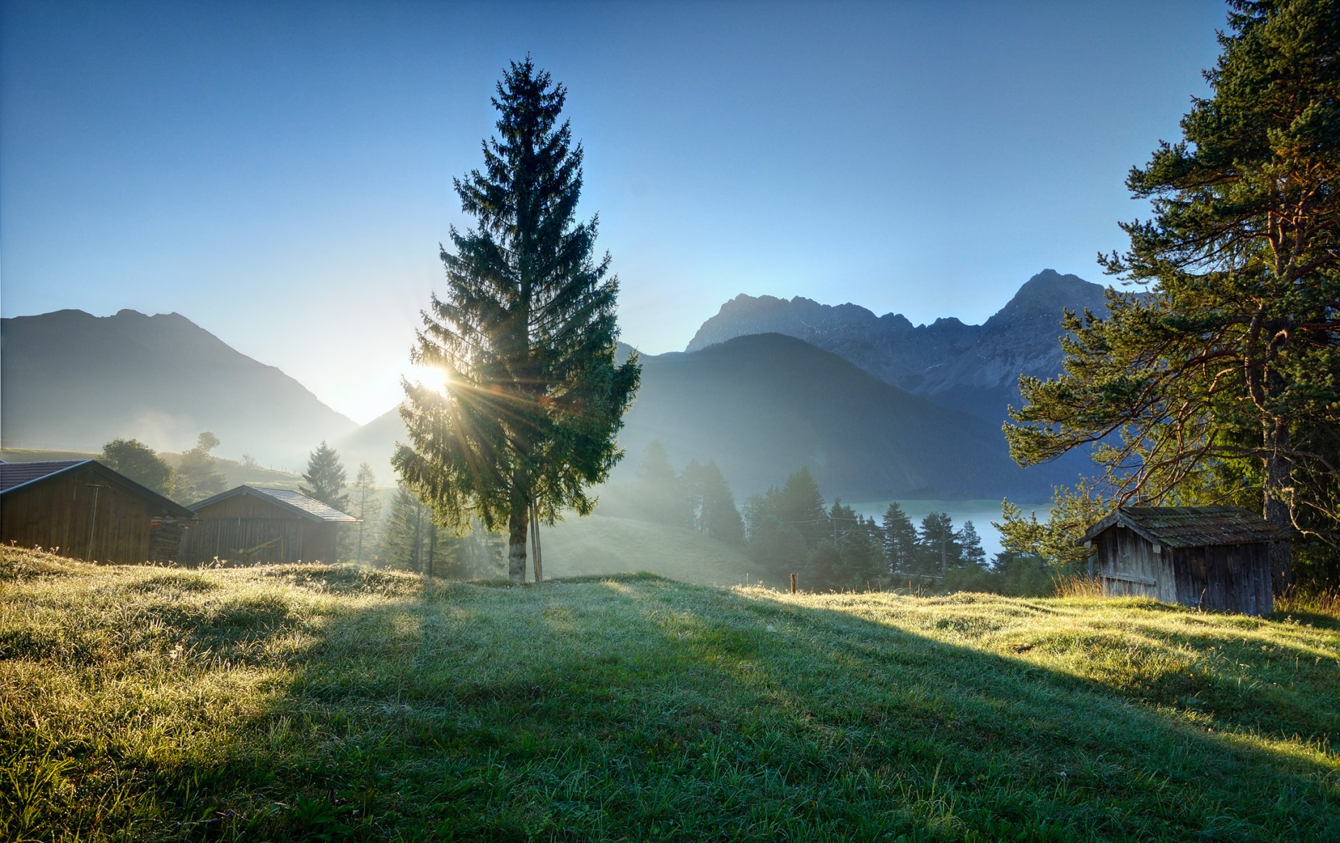 village aube matin rayons herbe