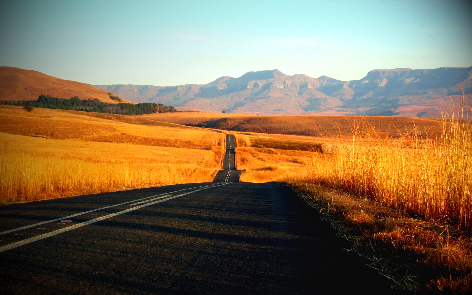 chemin route routes beauté paysages herbe