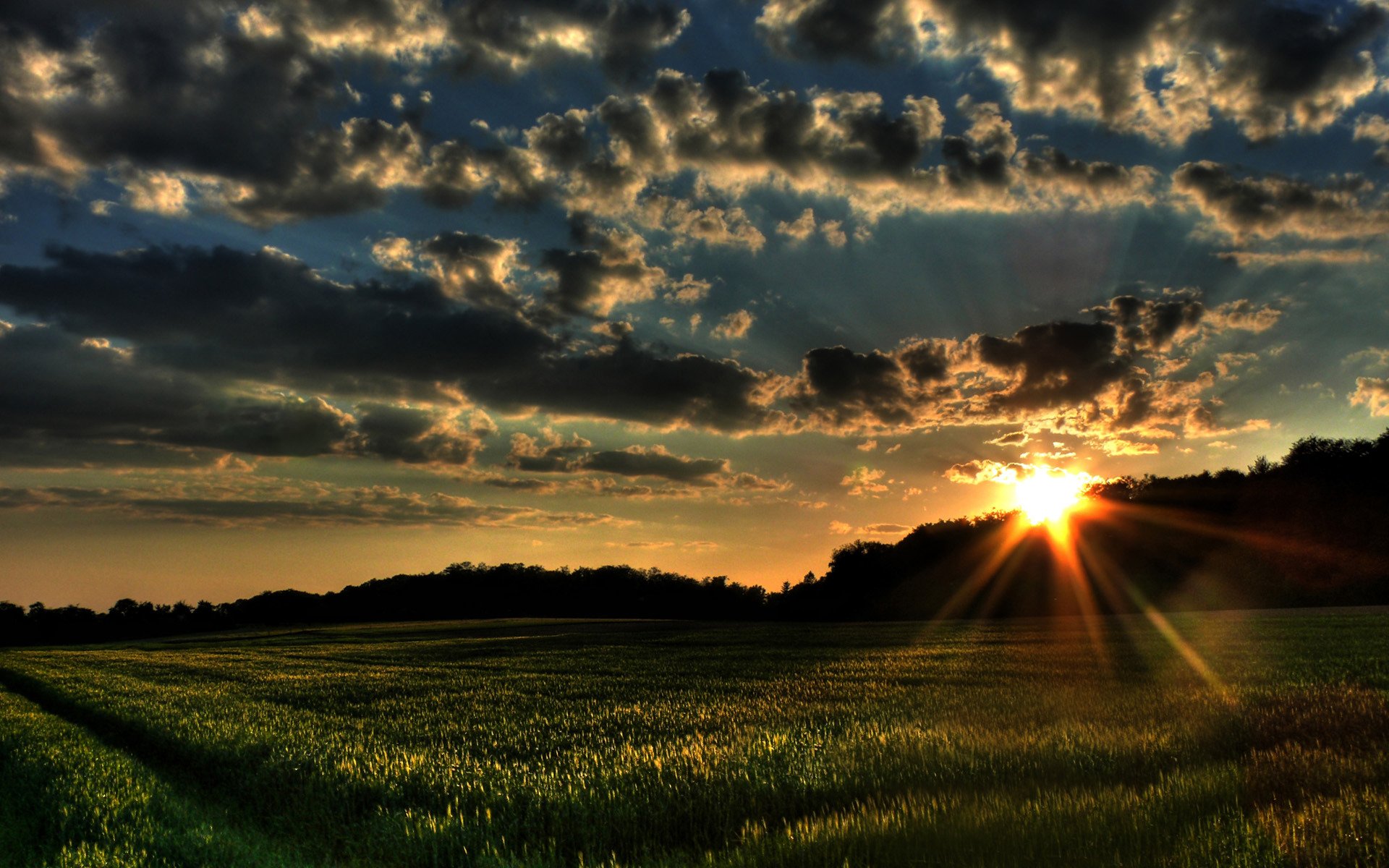 paesaggio erba campo tramonto nuvole campi natura alberi foreste vento sole