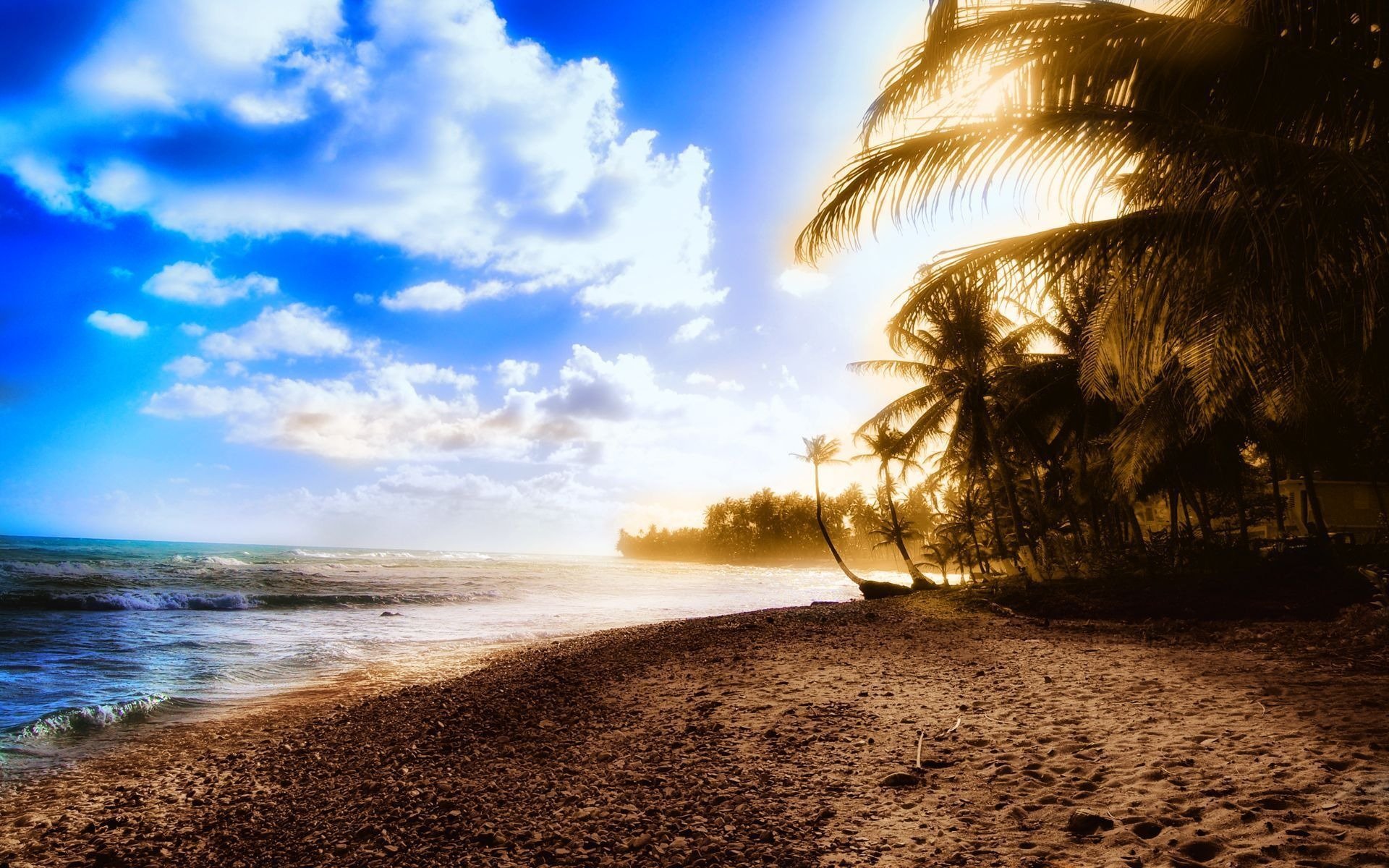 paysage côte plages sable eau vagues océan mer arbres été