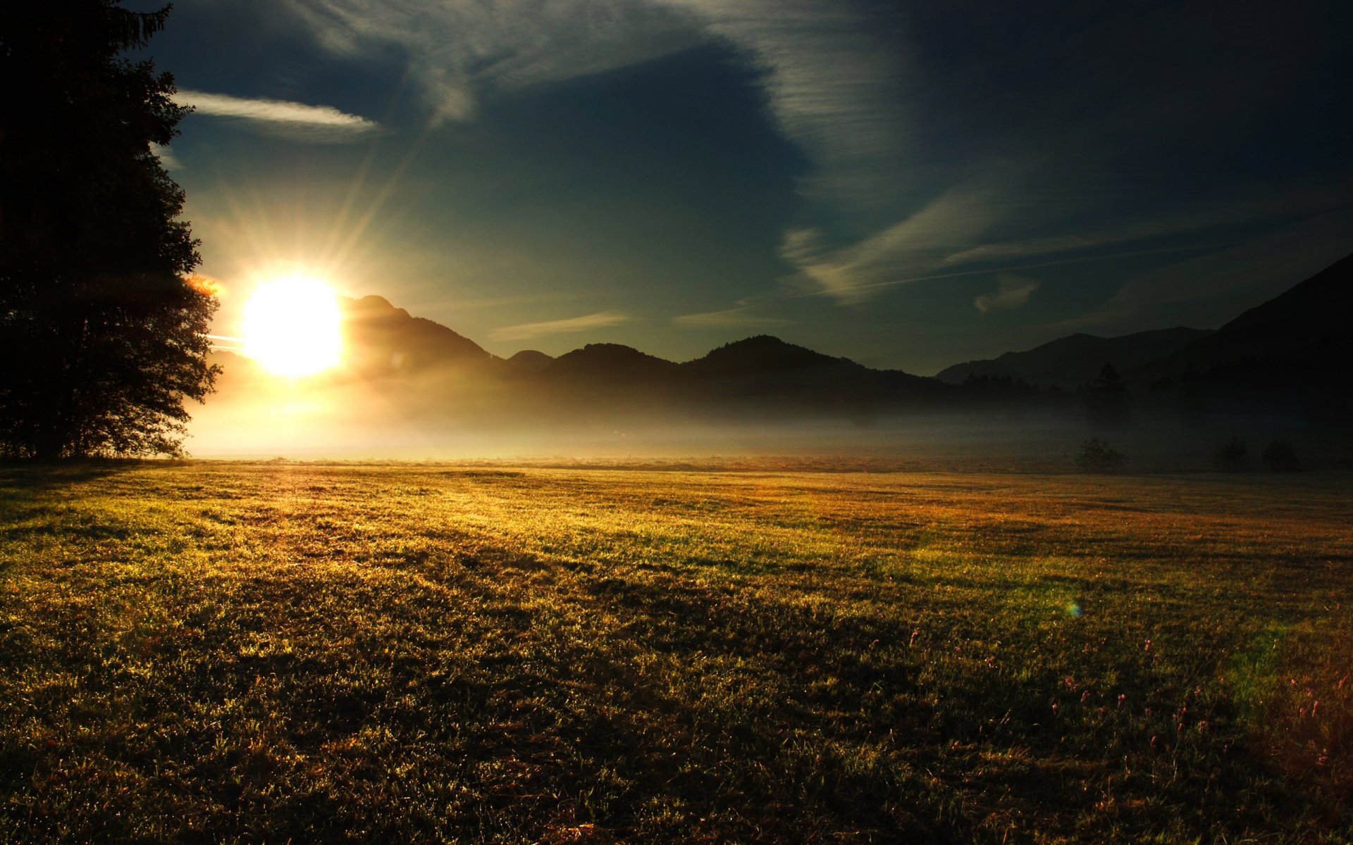 the field grass mountain hills tree sun rays light morning sky clouds nature landscape