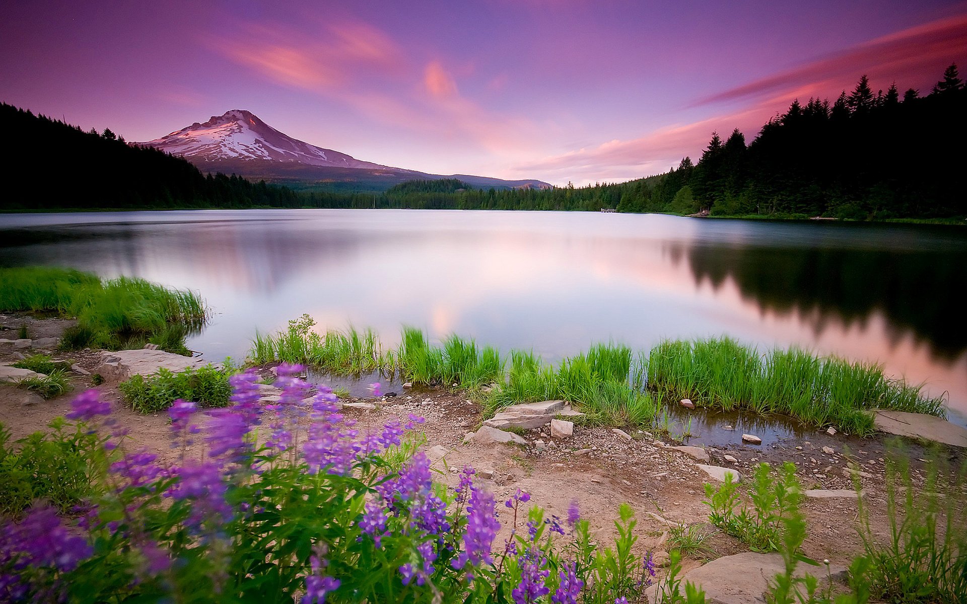 bäume natur landschaft see blumen wege himmel wolken sonnenuntergang berge