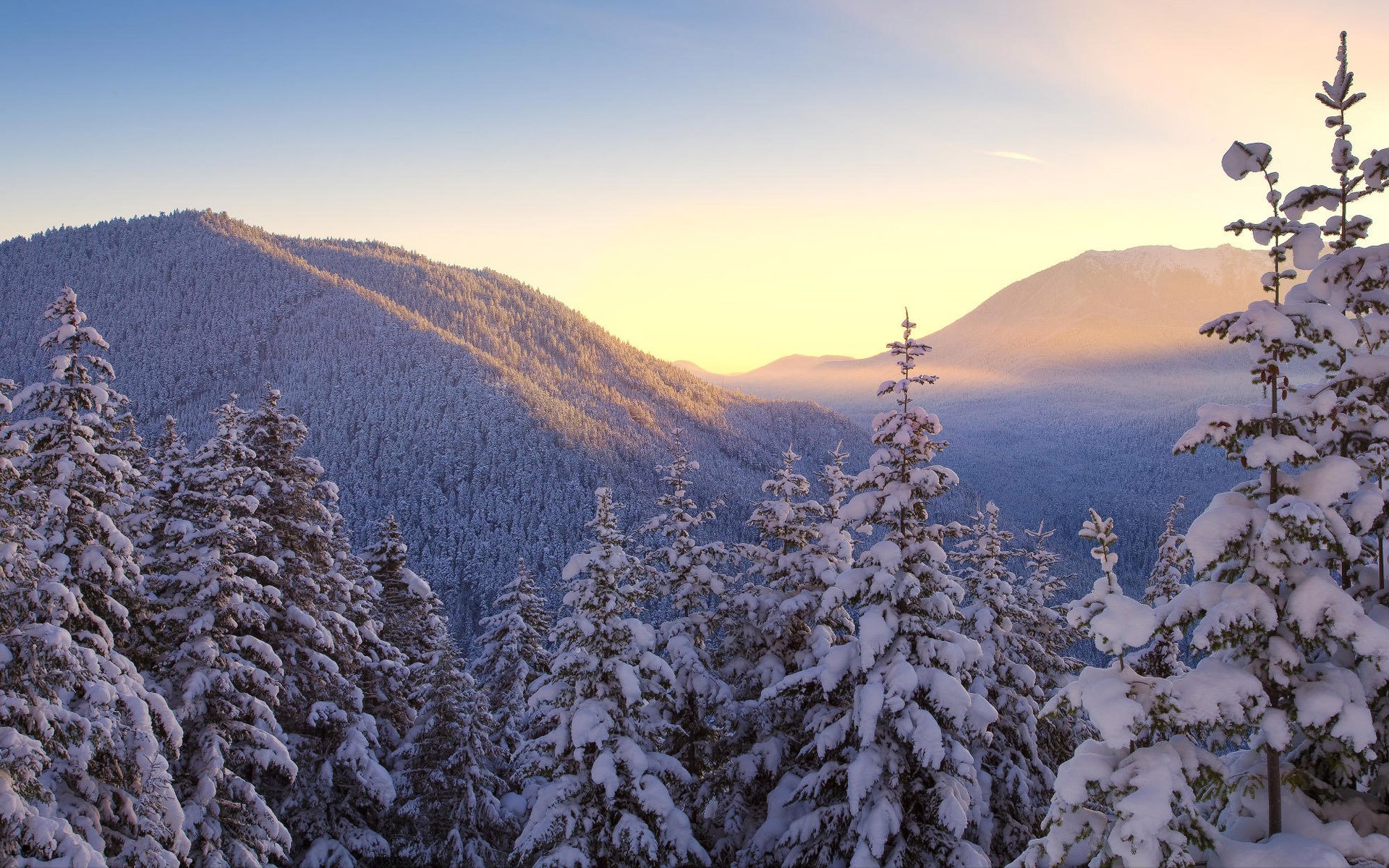 paysage nature montagnes hiver neige arbres ciel