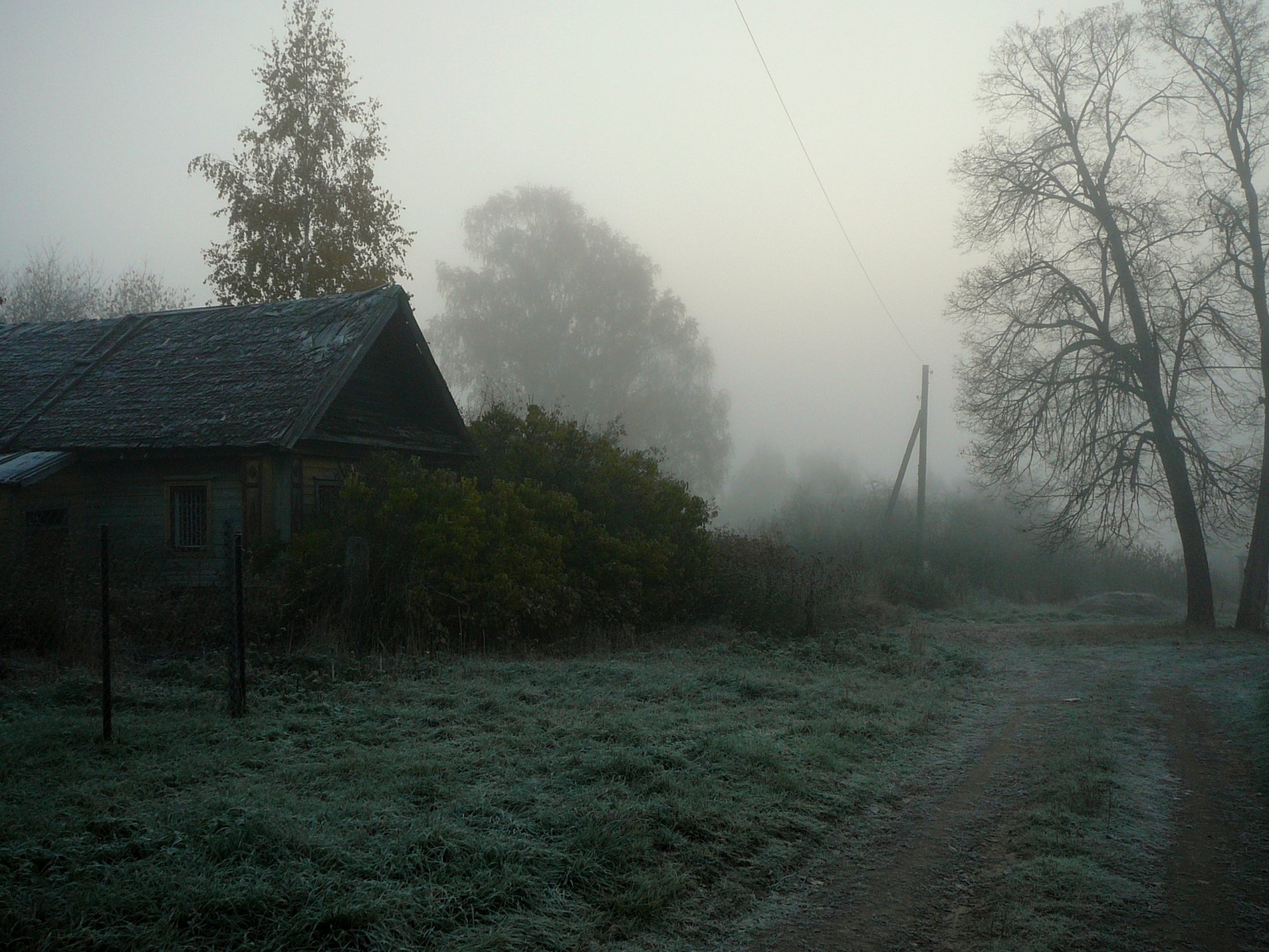 haus nebel dorf