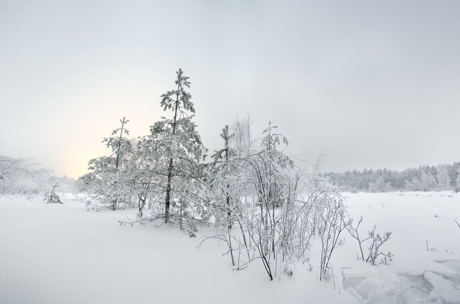 invierno nieve paisaje