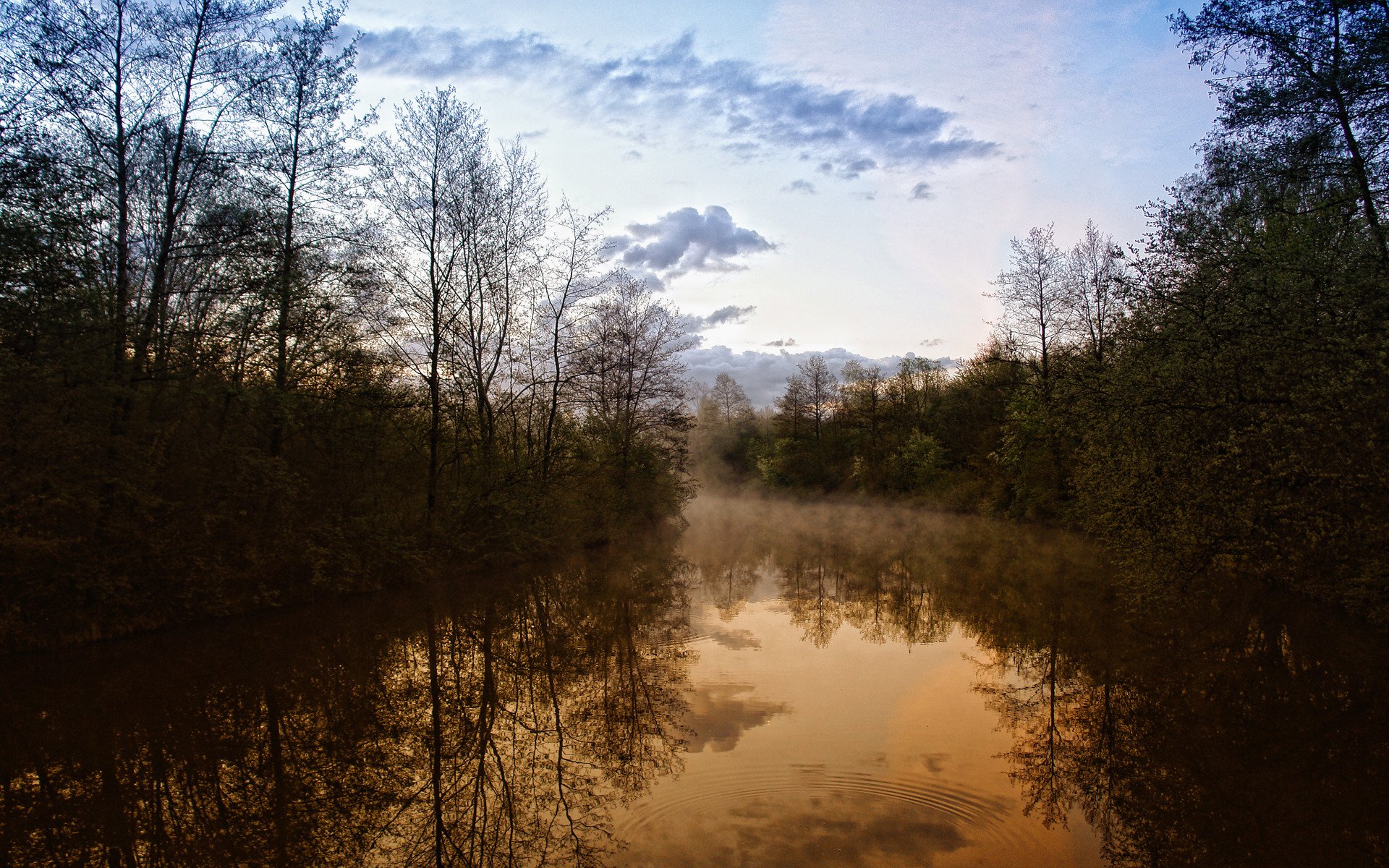 abend natur blick schönheit fluss wald bäume dunst