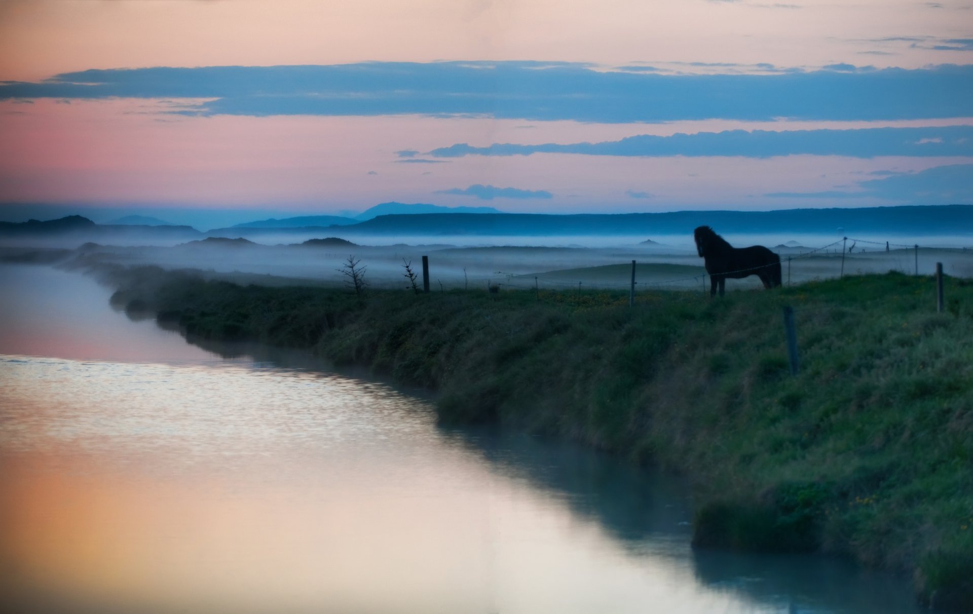 paysage animaux rivière lac eau chevaux cheval brouillard brume