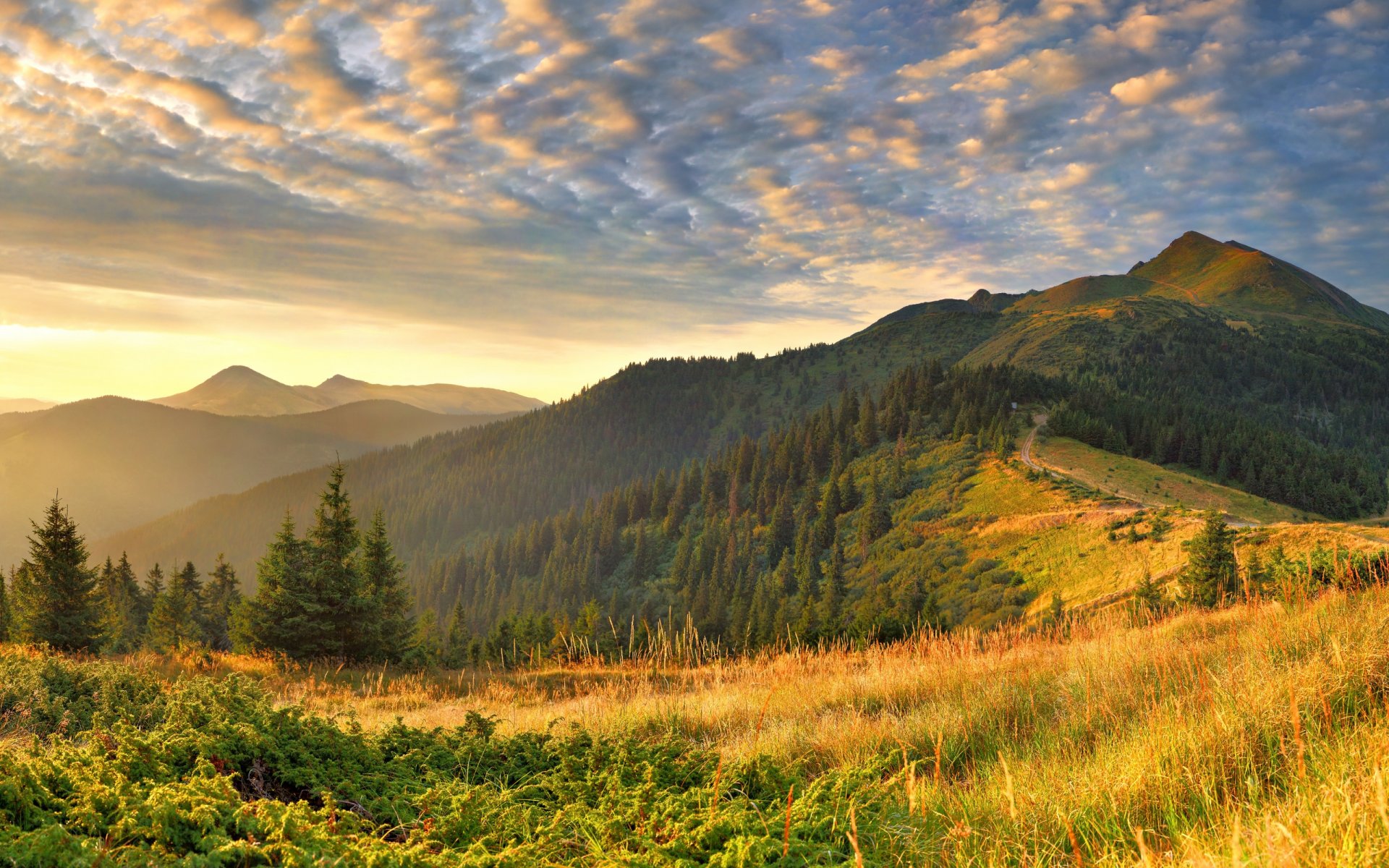 landscape nature grass hills light morning cloud cloud