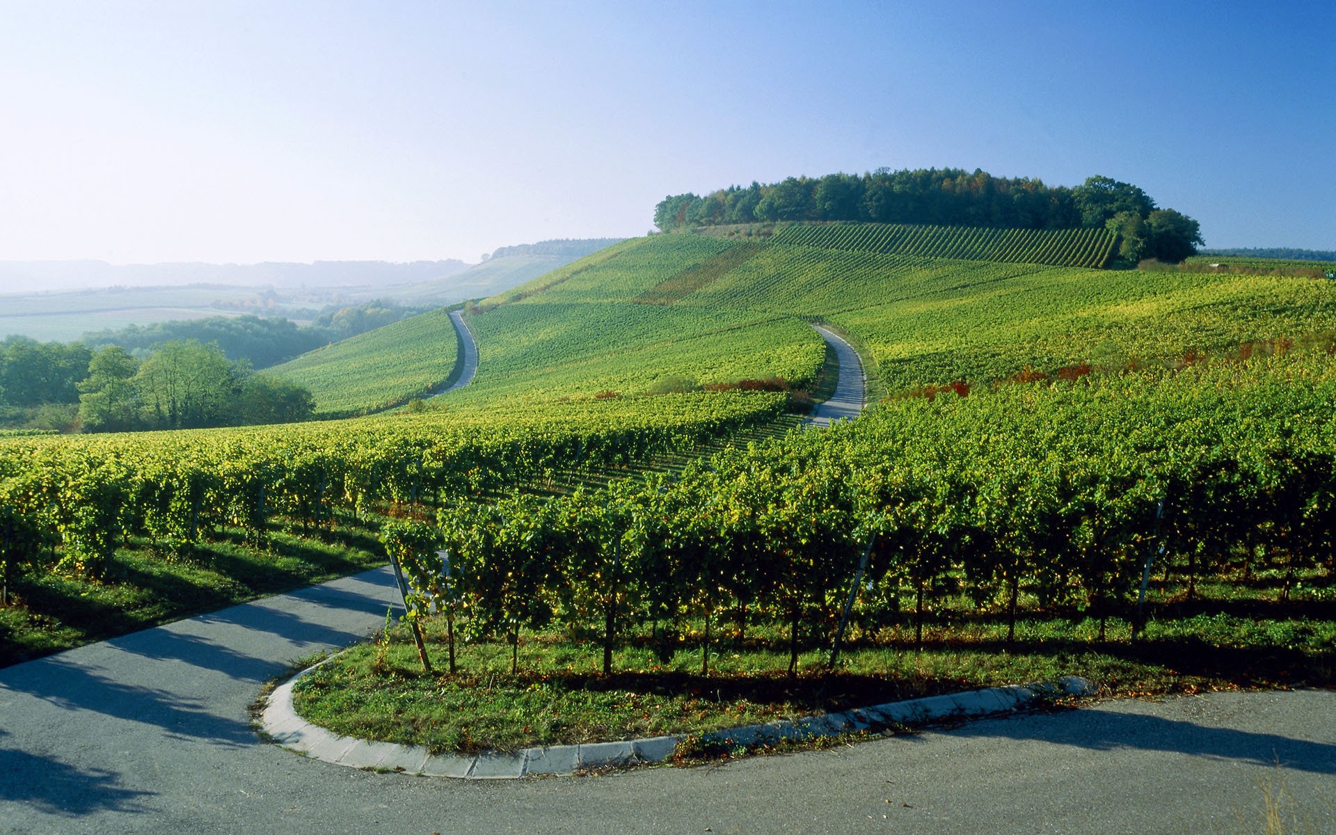 deutschland weinberge straße