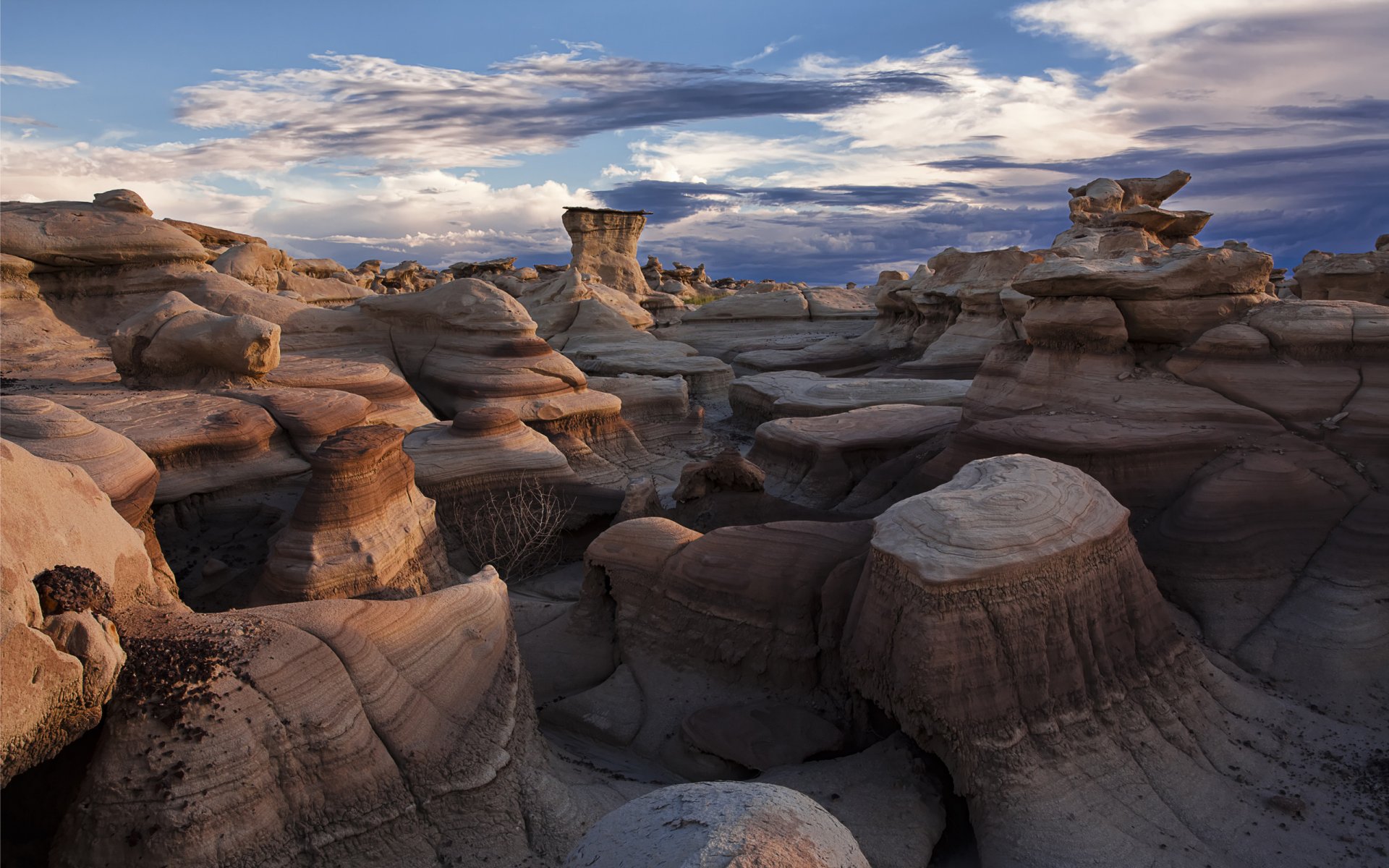 bisti badlands desert stone