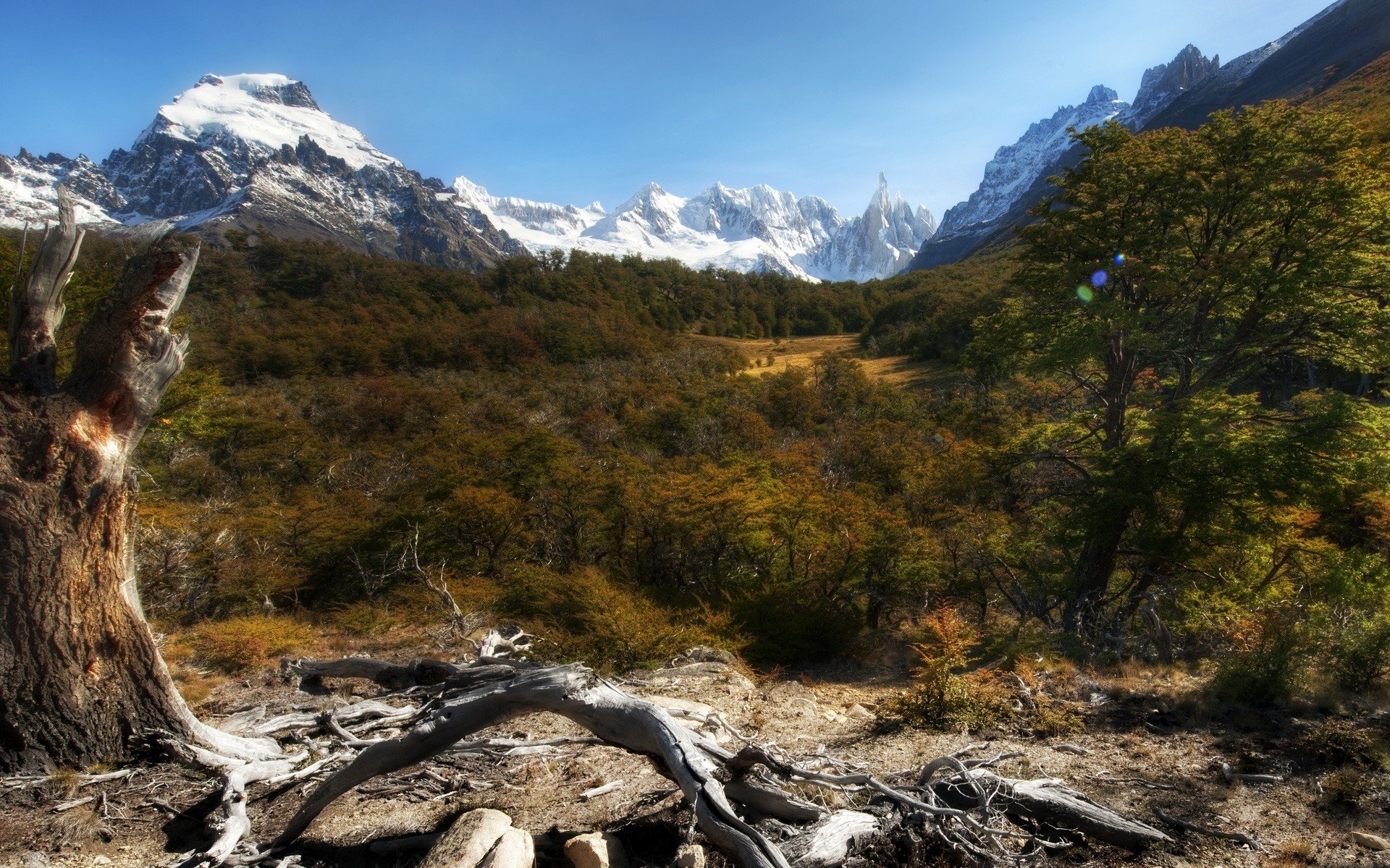 montañas naturaleza paisaje bosques plantas cielo rocas árboles bosque nieve