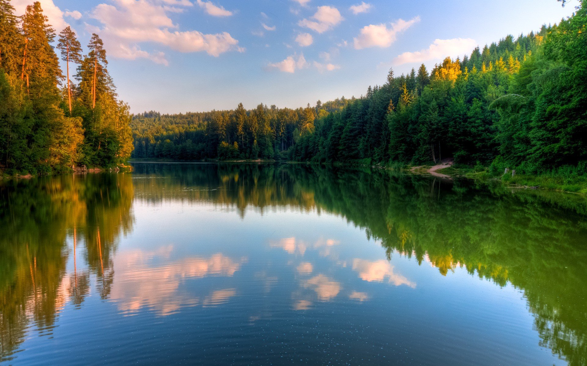 озеро лес вода отражение