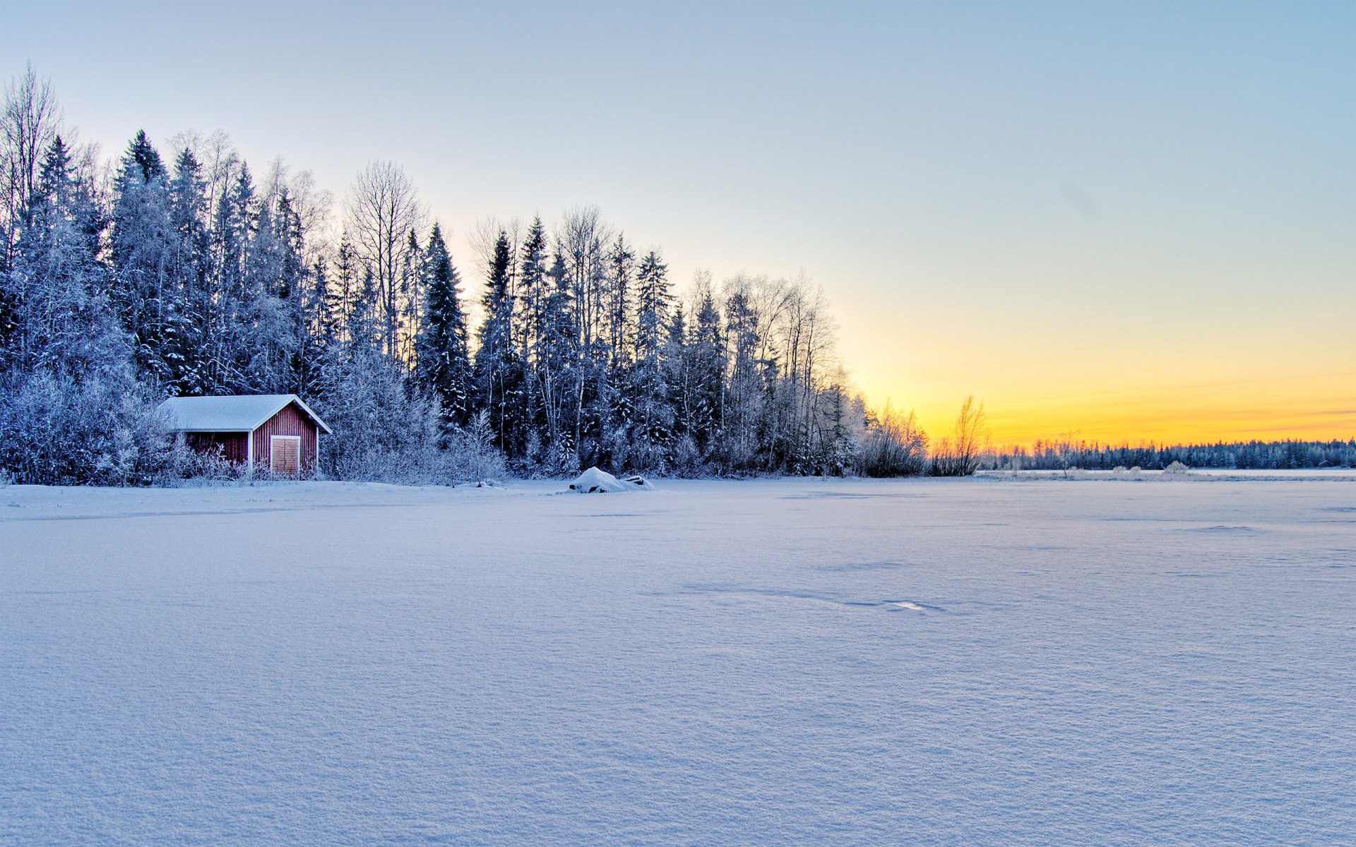 winter winter forest house