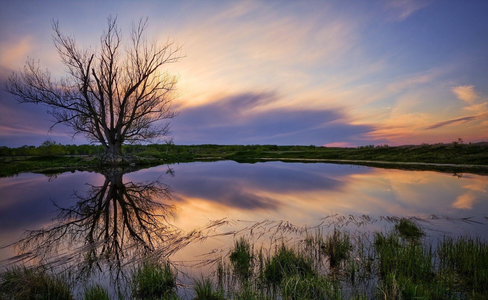 paesaggio natura lago riva albero cielo tramonto