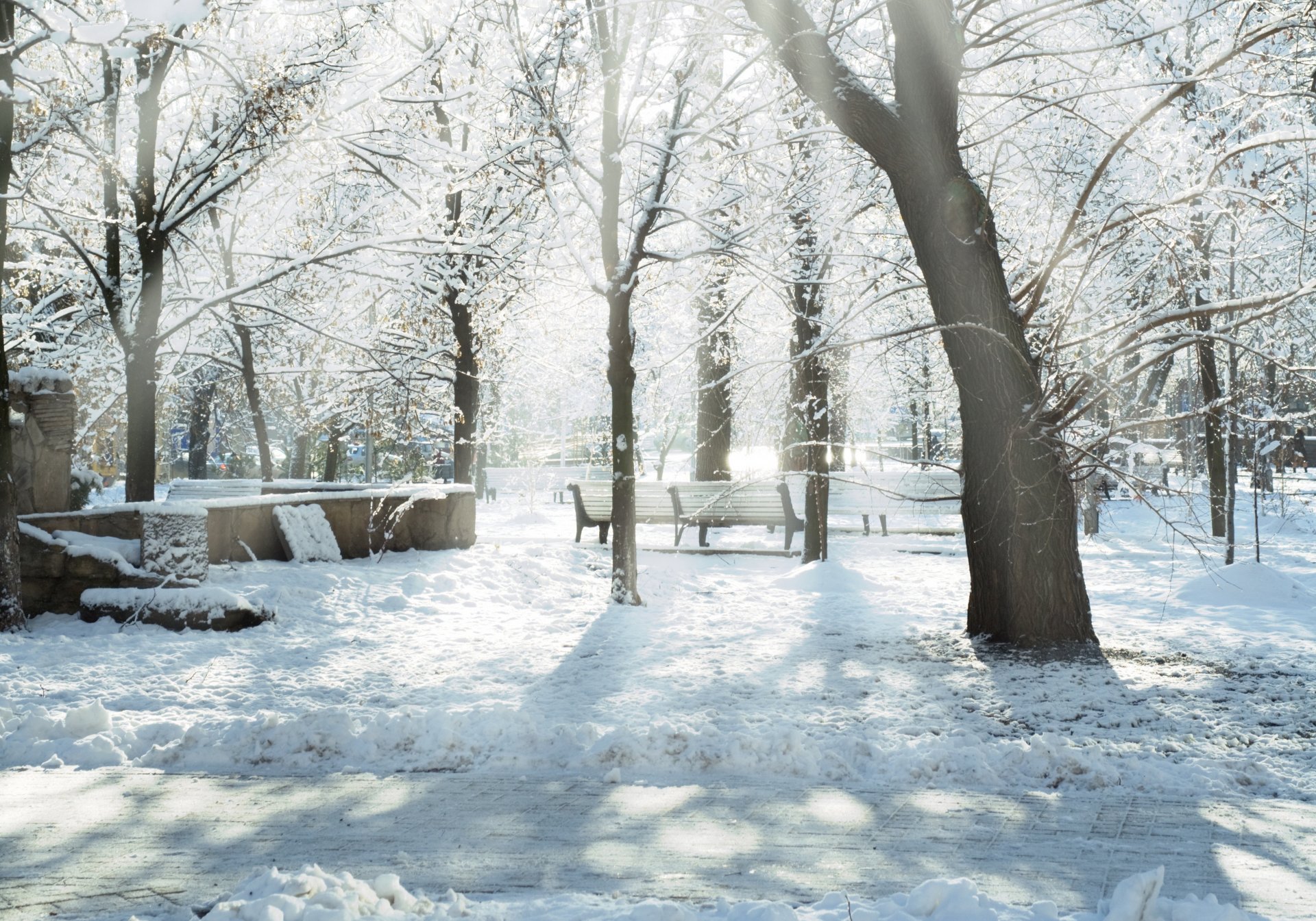 arbres de neige hiver parc dervy bancs neige rayons soleil