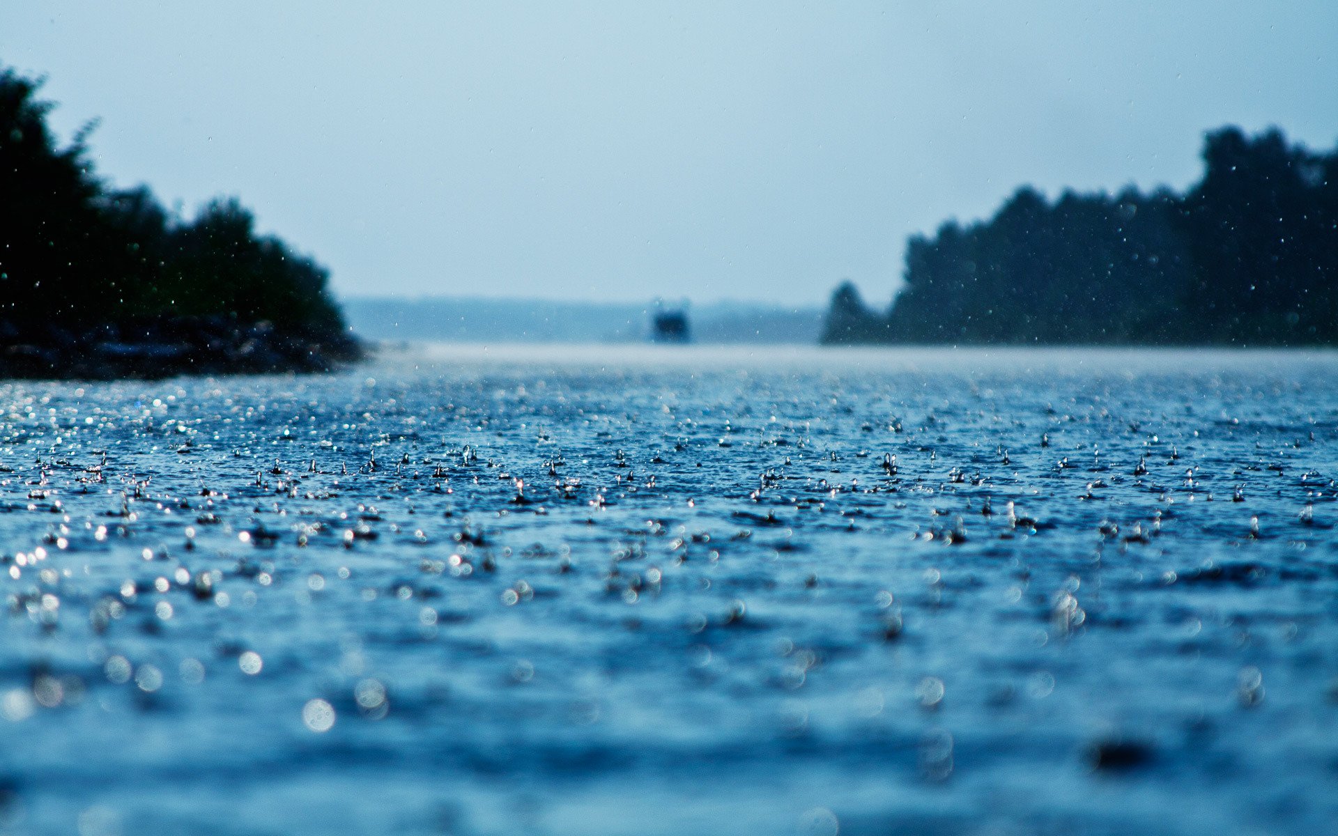 makro tropfen regen