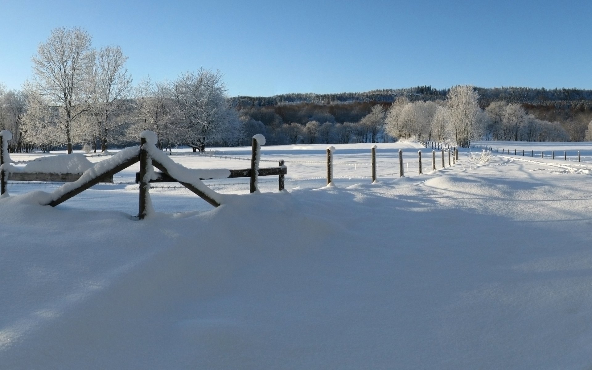 december winter snow