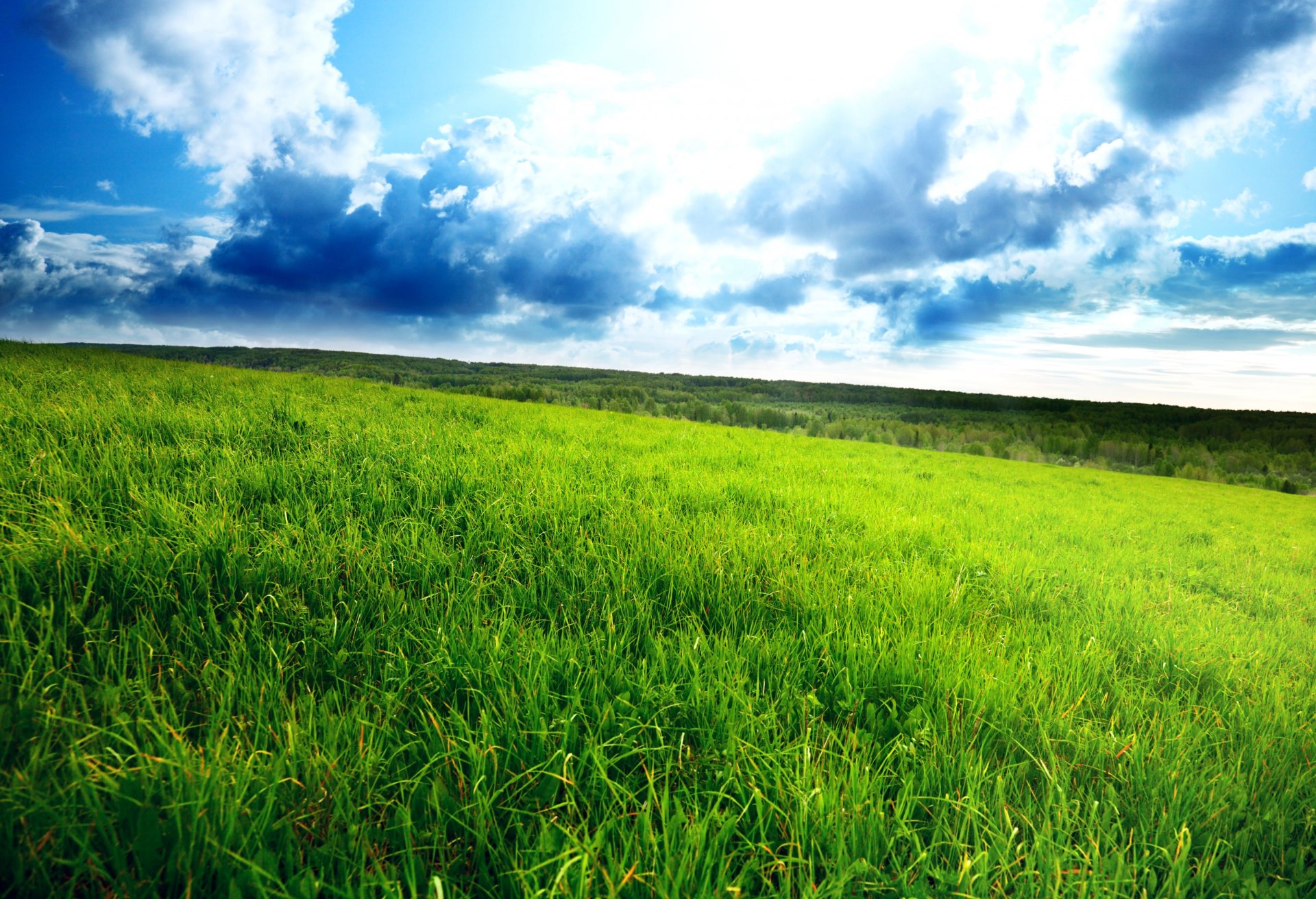 campo verde cielo nuvoloso campo denso erba orizzonte nuvole paesaggio