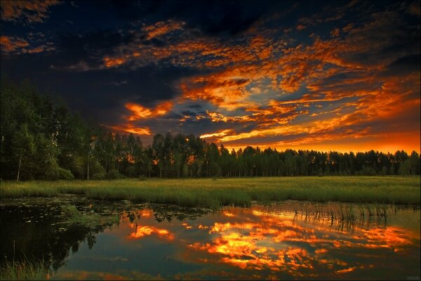 Abendsommer Sonnenuntergang im Wald