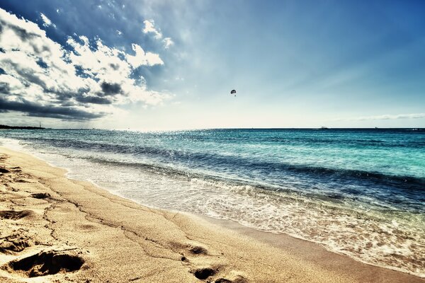 Empty sandy beach on the sea