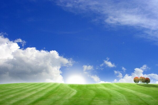 Grüne Felder auf blauem Himmel Hintergrund